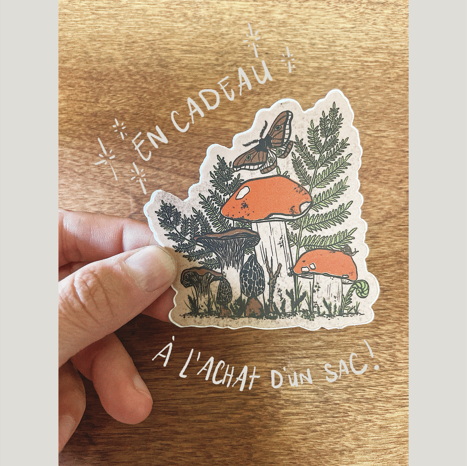 Illustration_sans_titre(15).png