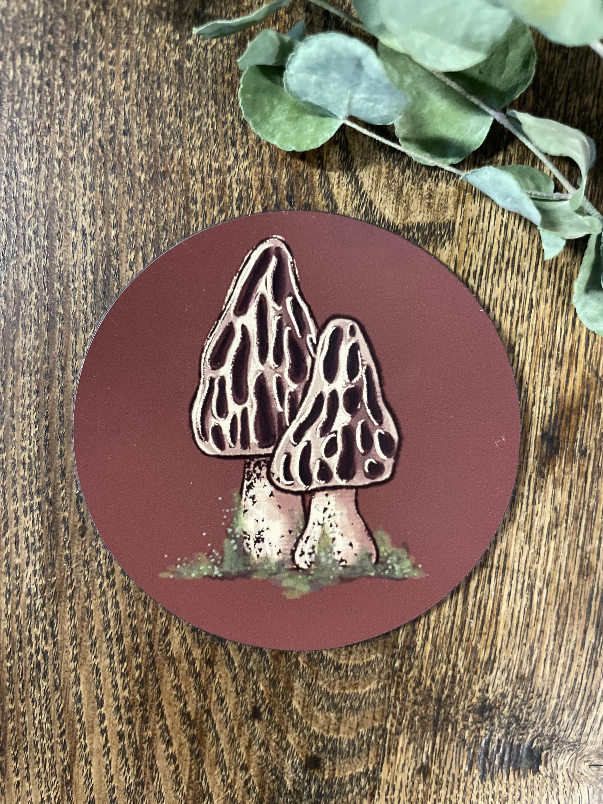 Aimants champignons