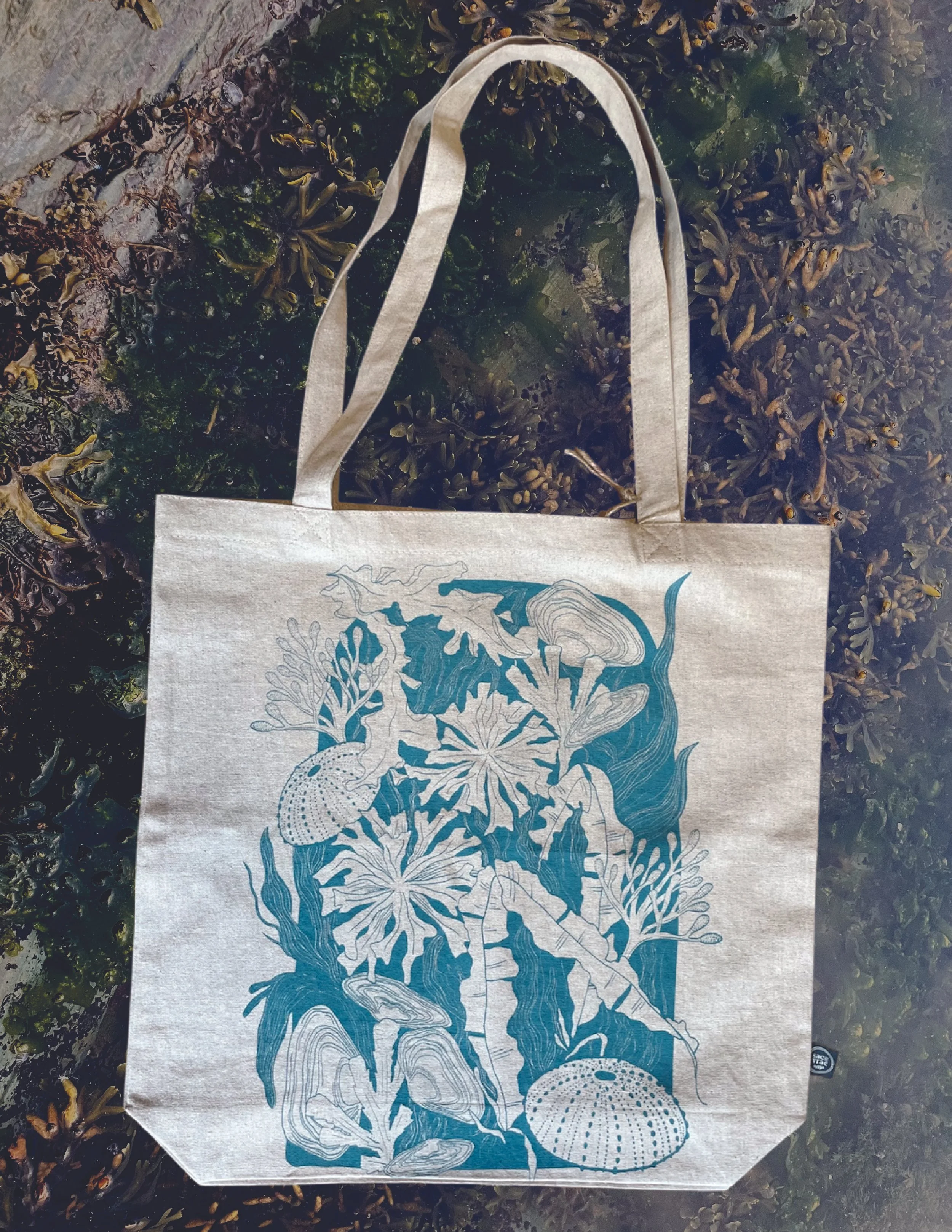 Tote bag devant littoral.jpg