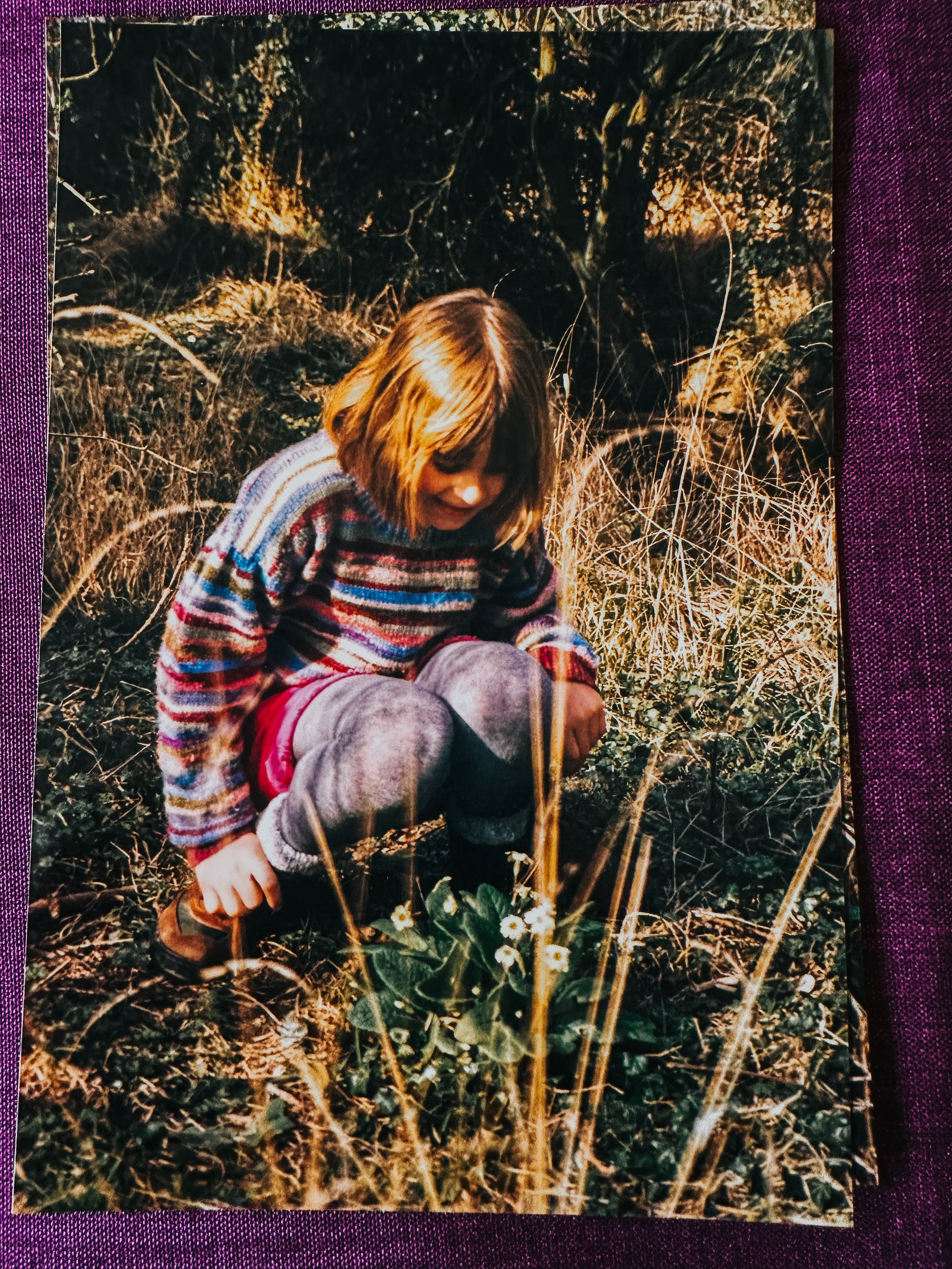 Child crouching in long grass looking closely at wildflowers, showing an early love of plants and nature.