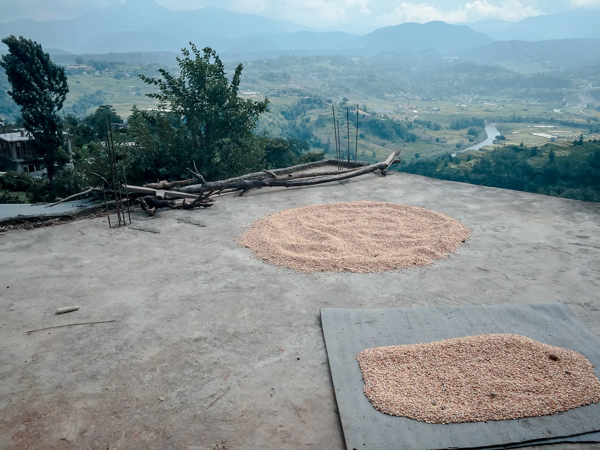 Nepal Corn drying on a rooftop