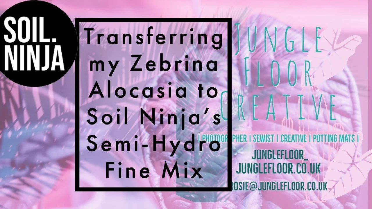 Semi Hydro Fine Mix Inspired By Soil.Ninja