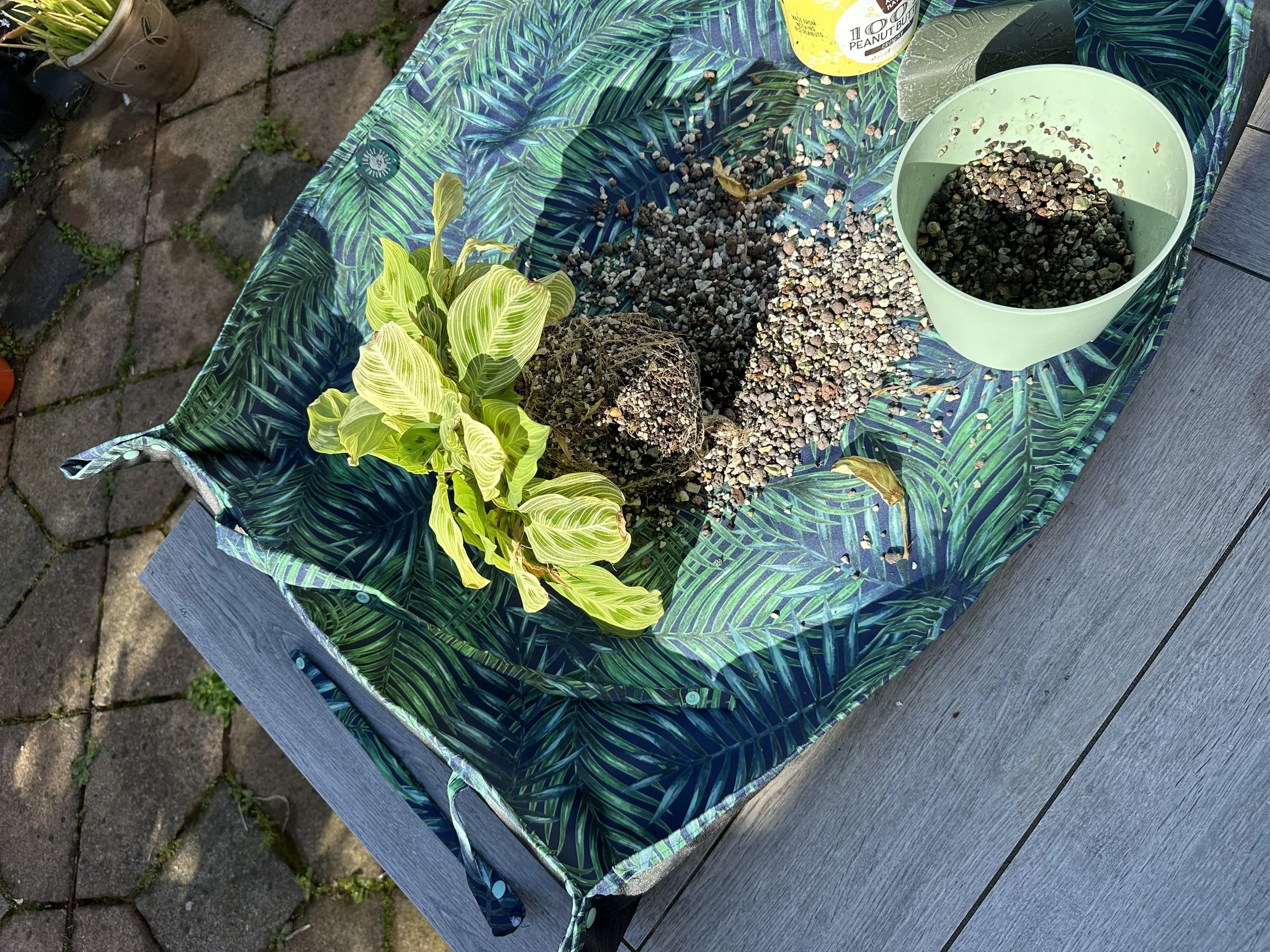 Houseplant repotting setup on a tropical leaf print potting mat, showing soil, gravel, and a small potted houseplant arranged for repotting outdoors.
