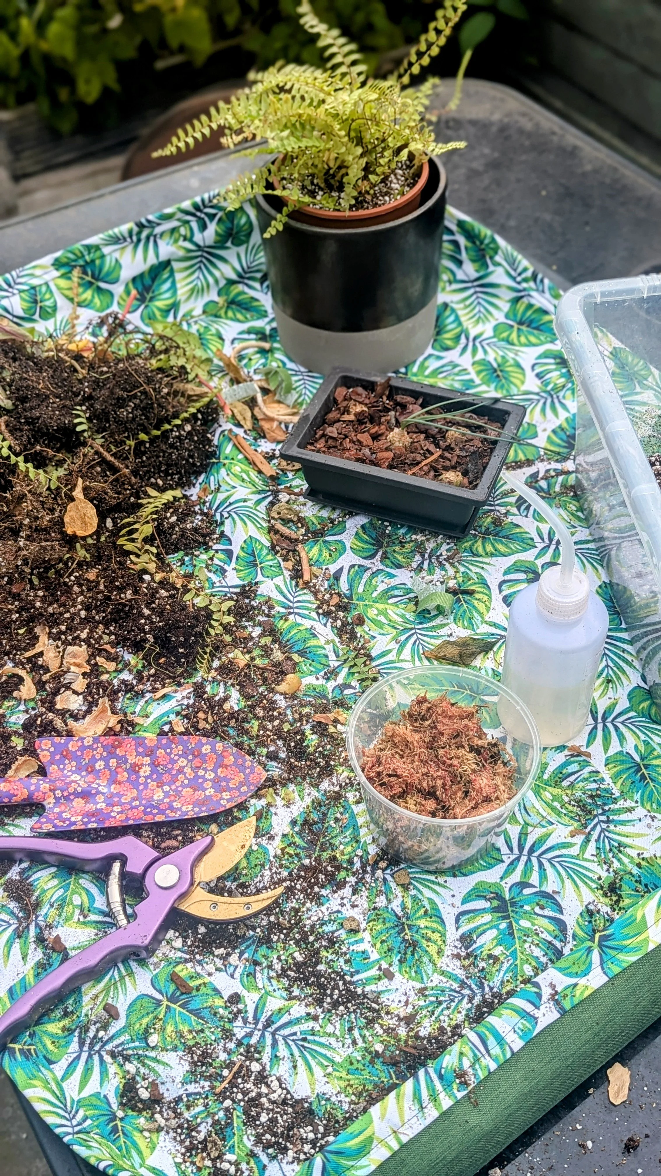 Houseplant potting workspace set up on a Jungle Floor Creative tropical leaf print potting mat, with soil, plant cuttings, scissors, propagation trays, and small potted plants arranged for repotting.”