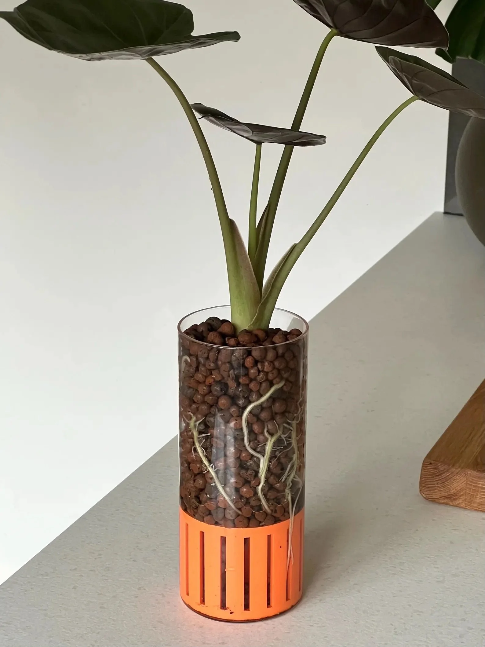 il_1588xN.7372798682_oa0k 2.jpeg