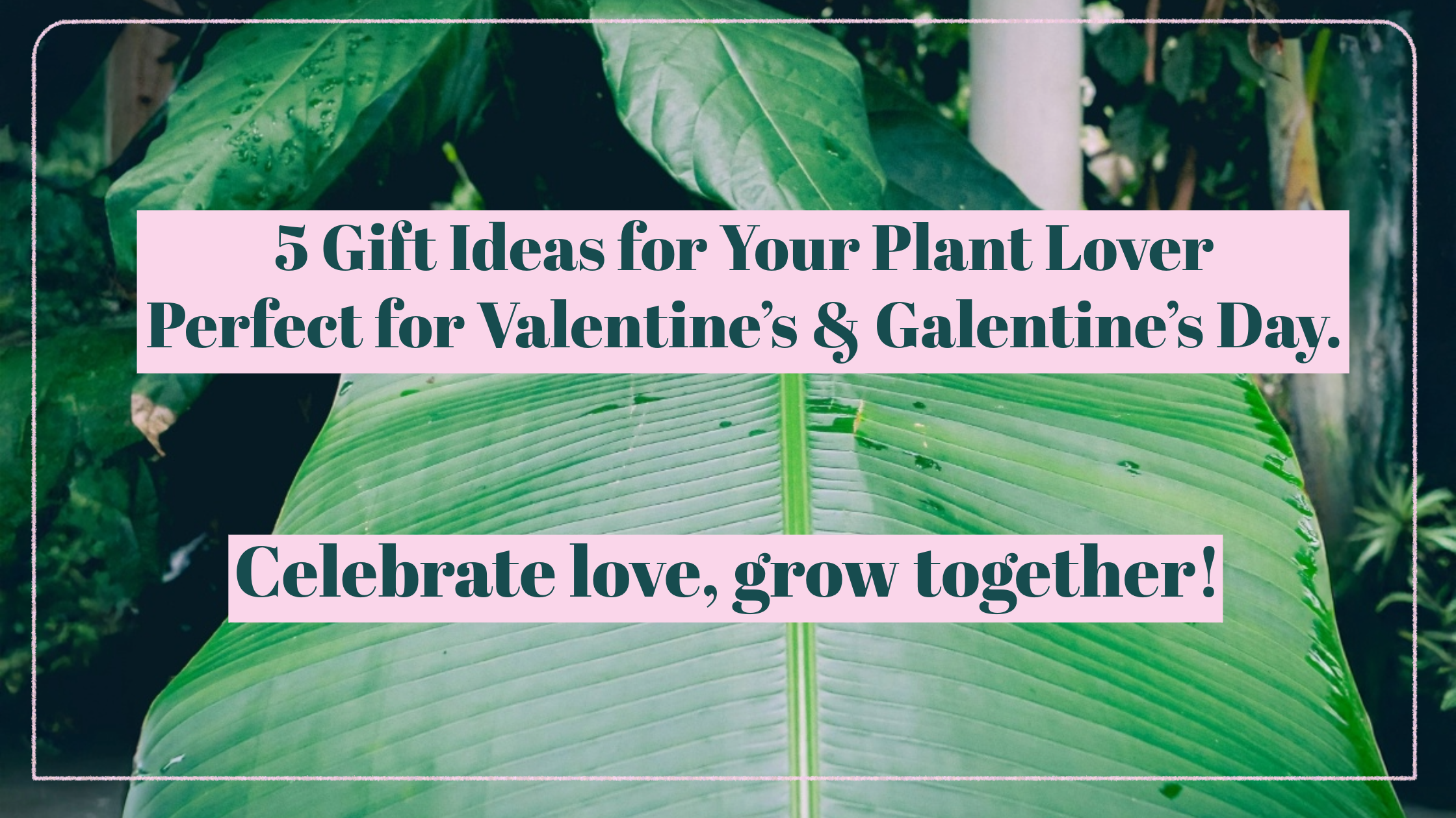 5 Lovely Gift Ideas for Plant Lovers This Valentine’s &amp; Galentine’s Day