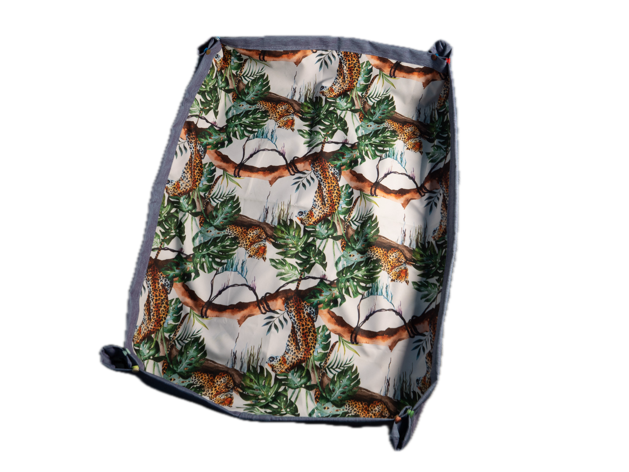 jaguars in the jungle.png