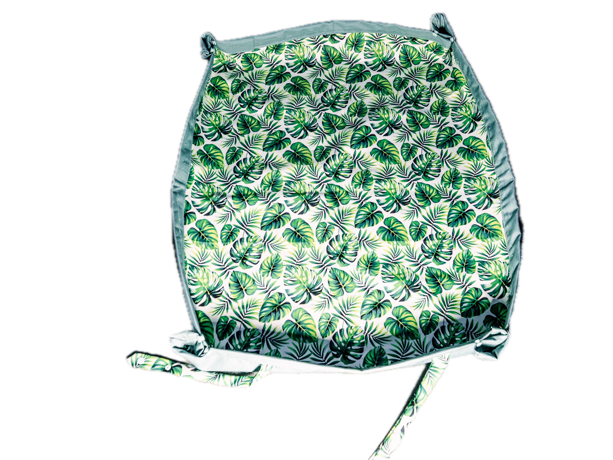 P1292228 Background Removed.png