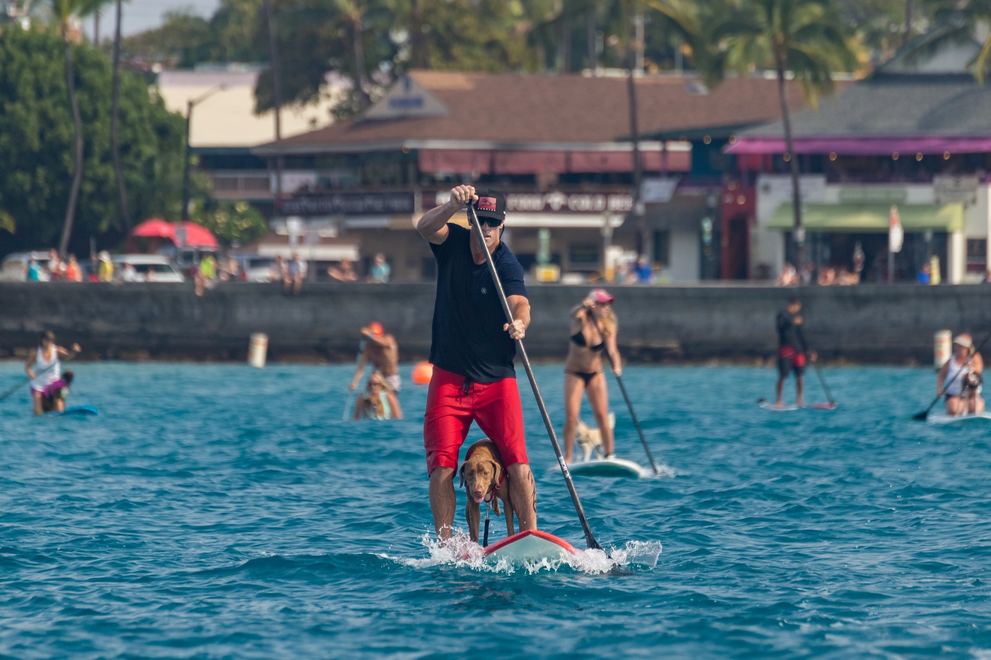 2017 Pau Hana - Reggata SUP-2925.jpg
