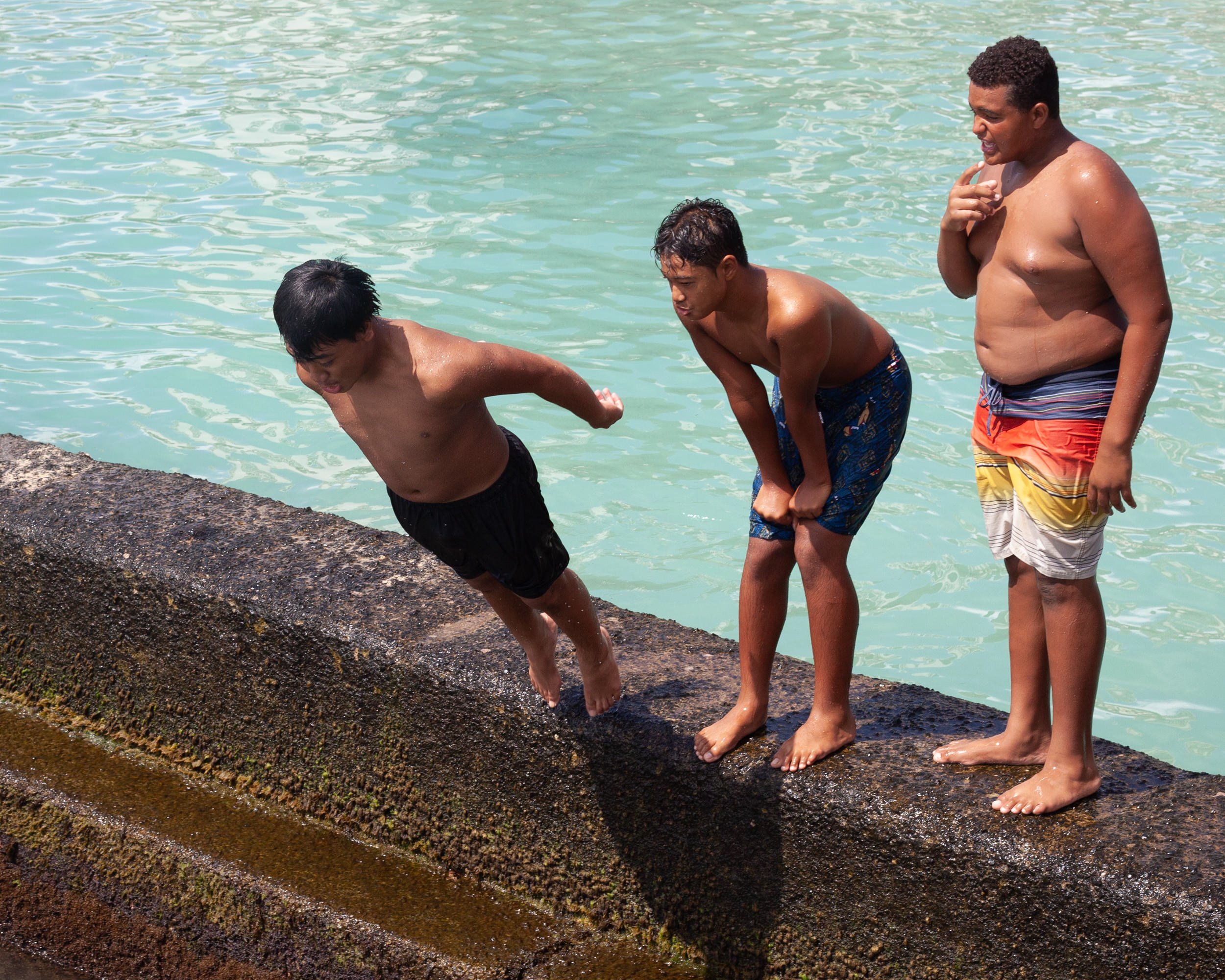 Waikiki Beach Wall-11.jpg