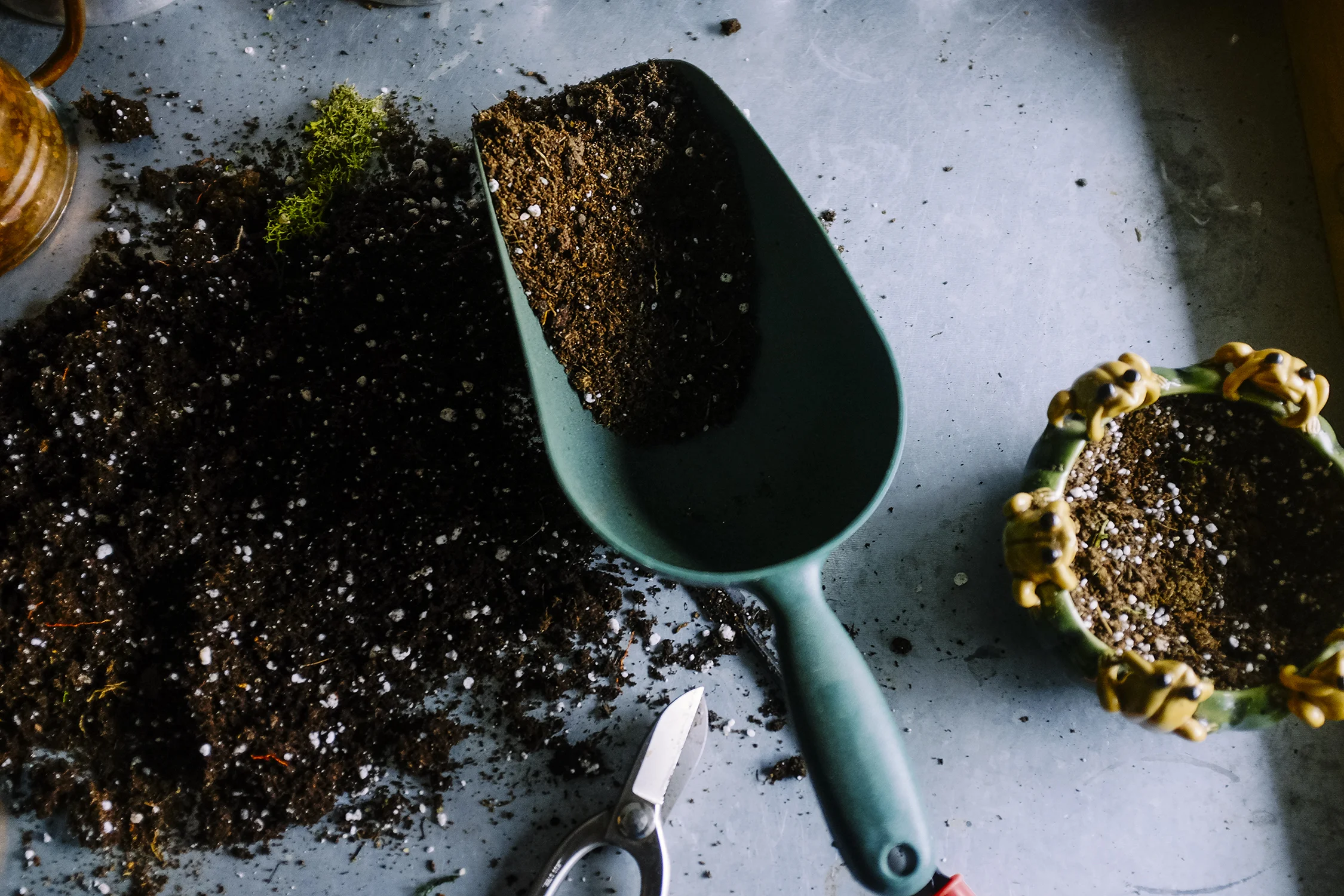 Soil Banner.jpg