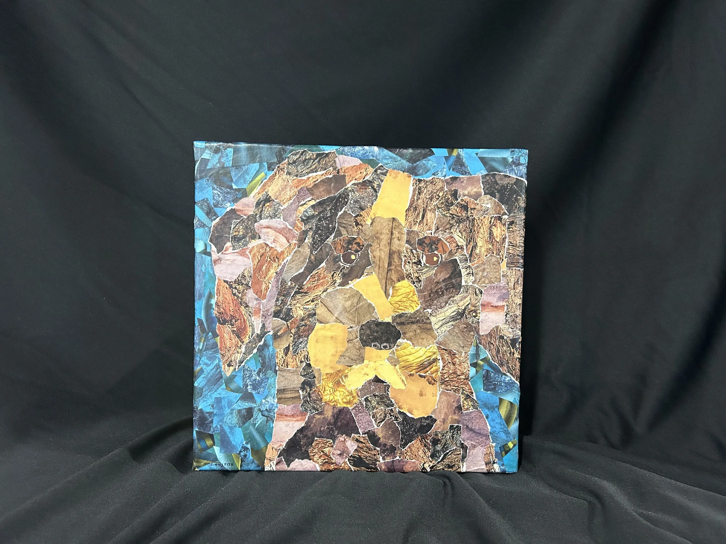 Mixed Media by Ginny Fitz