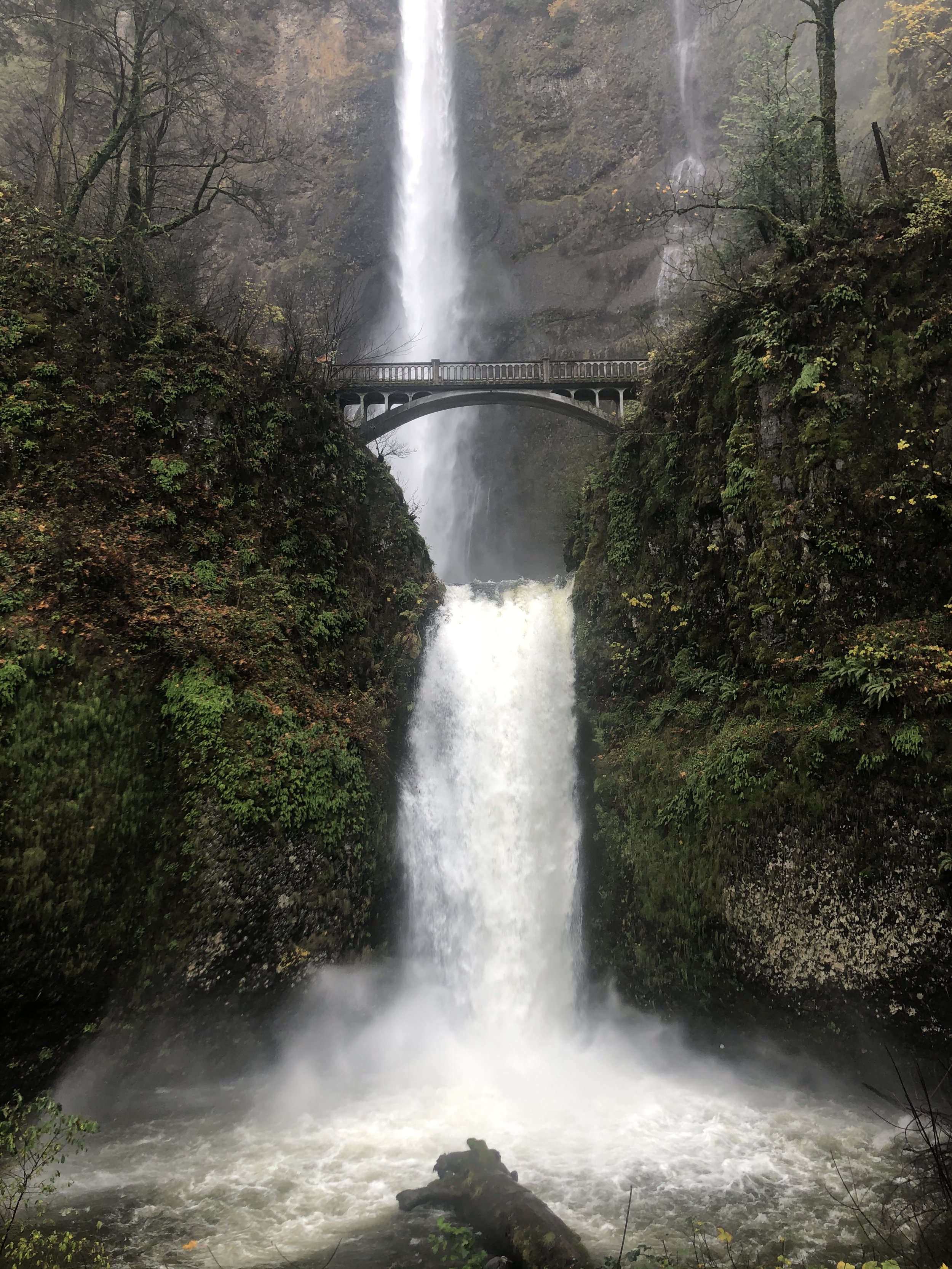 Portland, OR