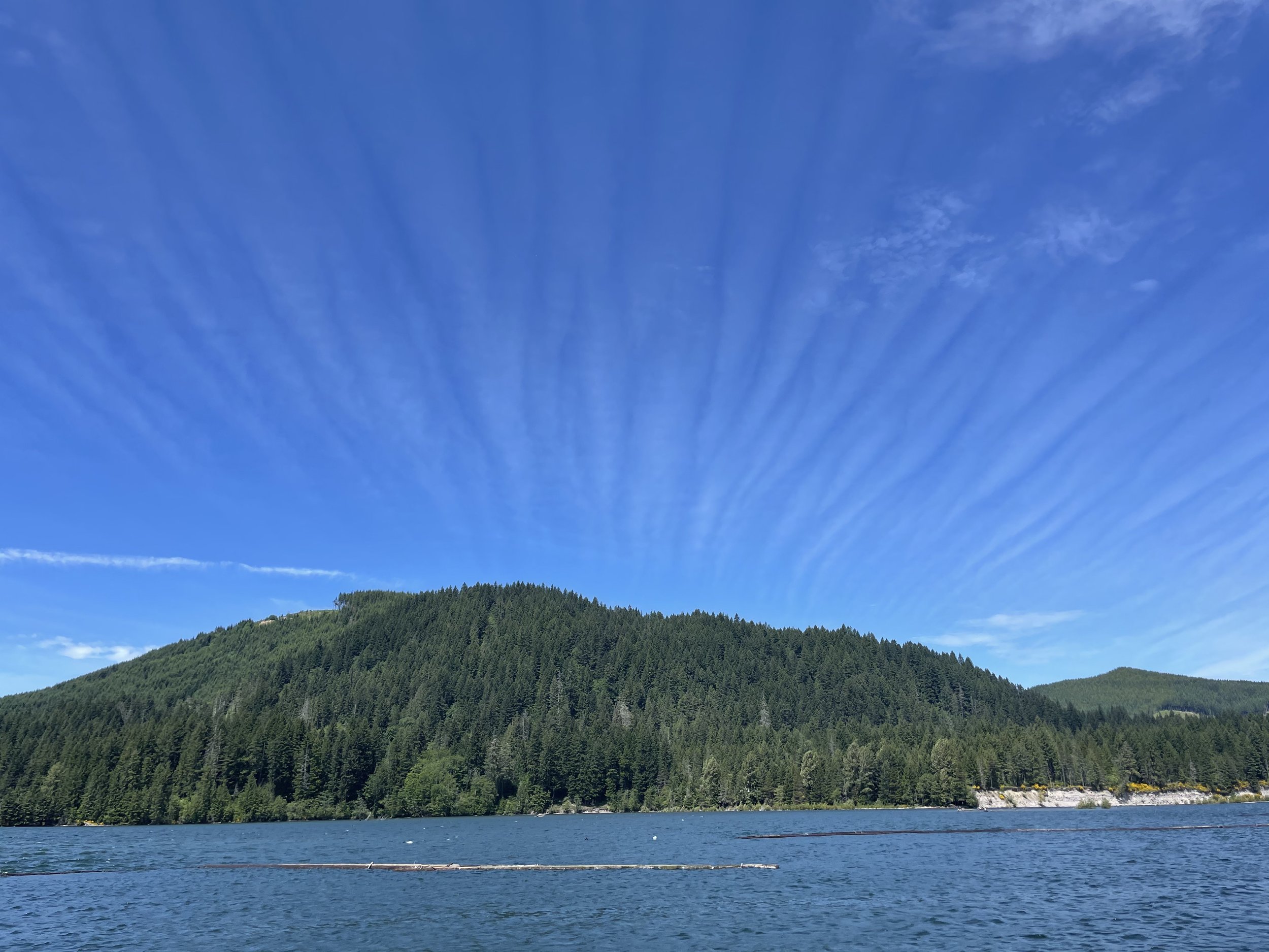 Cougar, WA