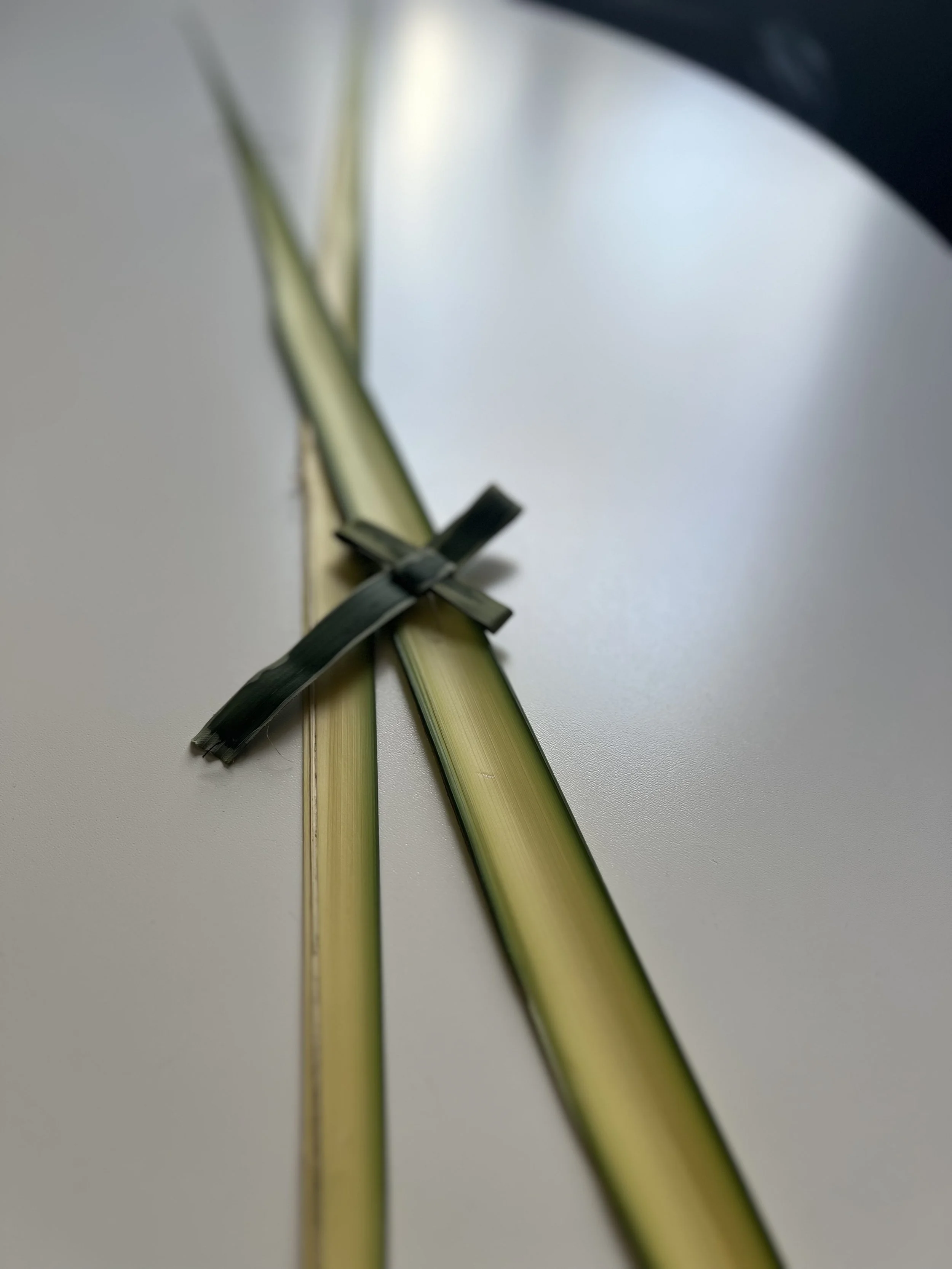 palm sunday