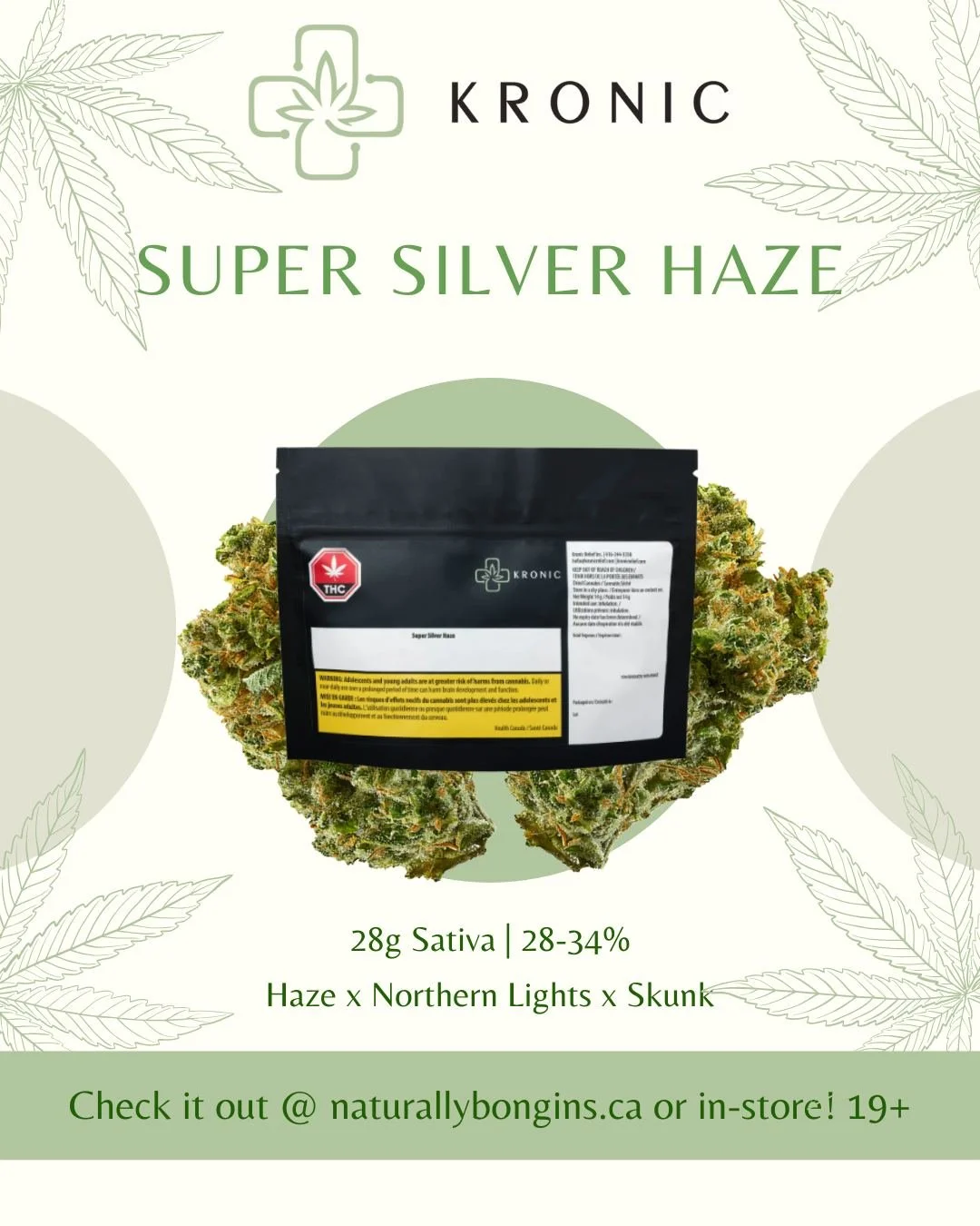 Kronic's Super Silver Haze is a potent sativa that a lot of the OG Haze x Skunk lovers will surely enjoy! Kronic has been around since the legacy market and has perfected the craft! Check it out! Available here at Naturally Bongins! 

 #naturallybong