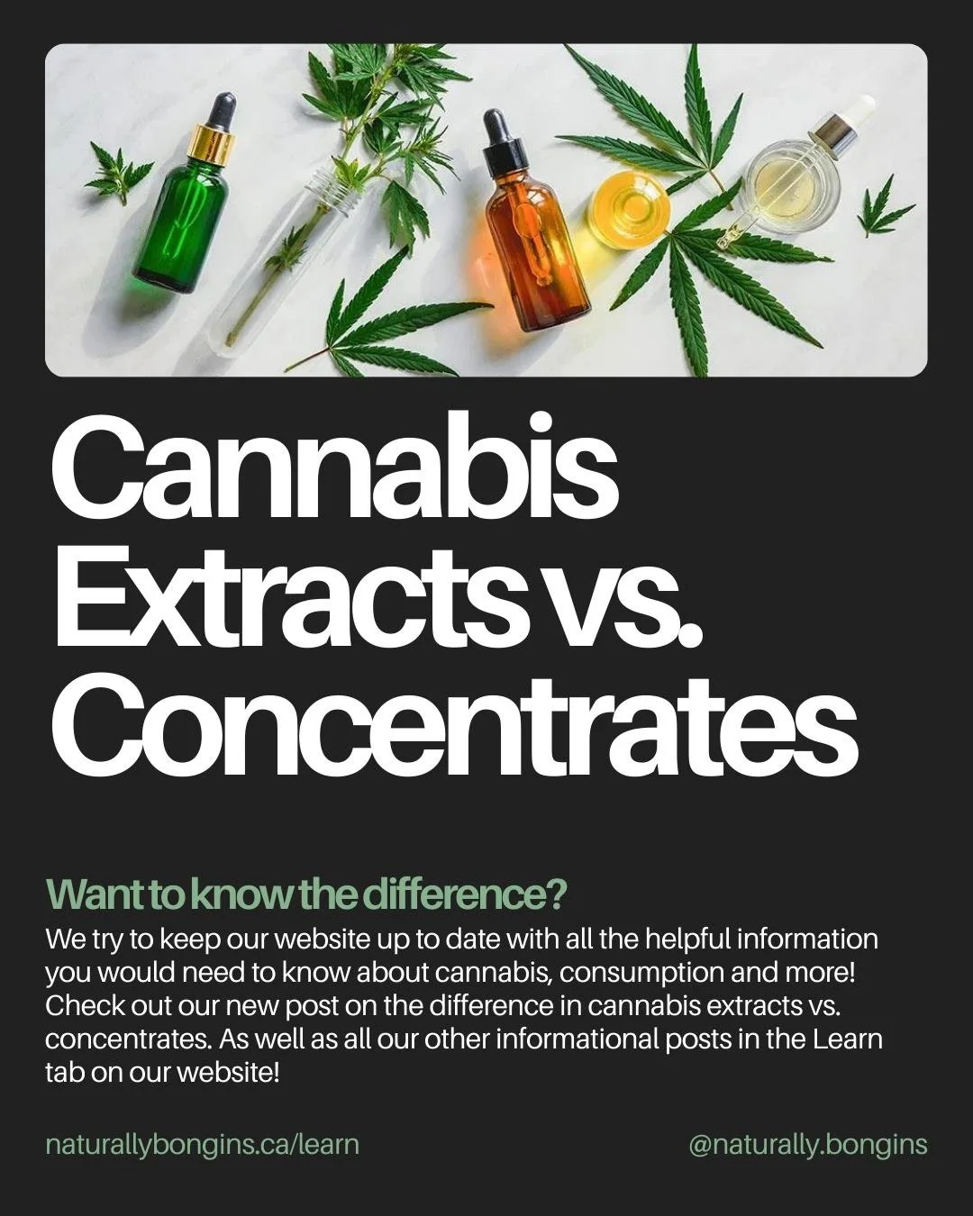 A new post was added to our Learn section of our website! If you're wanting to know more about Cannabis Extracts or Concentrates and the differences between them, check it out! Go to our website naturallybongins.ca and click the learn button at the t