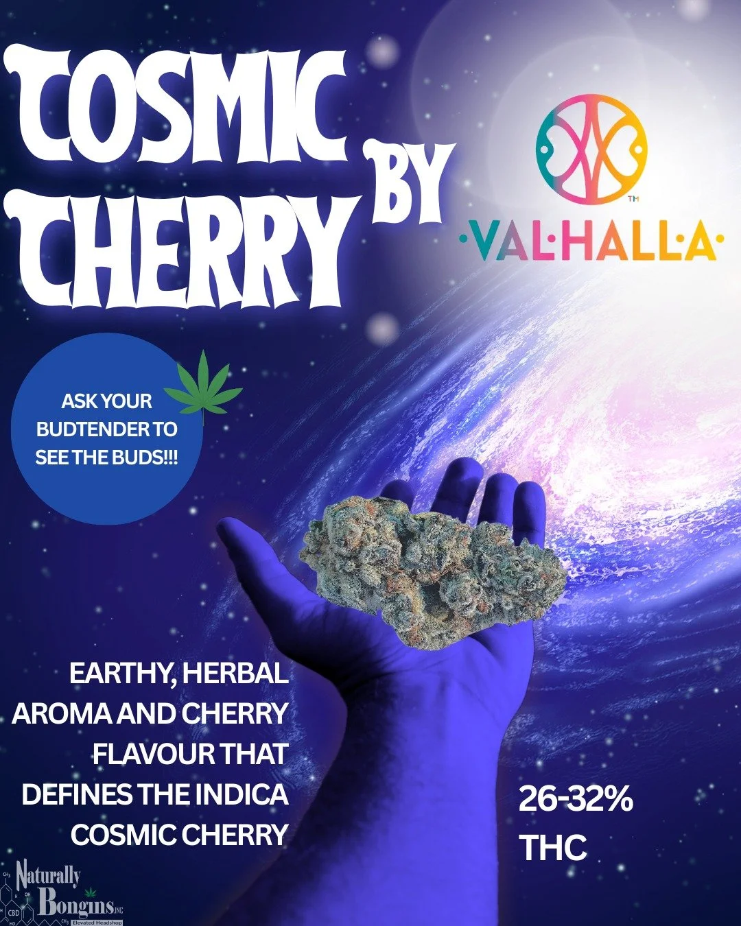 Float into flavor 🌌🍒
Cosmic Cherry by Valhalla brings earthy, herbal notes with a sweet cherry finish that truly defines this indica.
✨ 26&ndash;32% THC
🌿 Rich aroma, bold flavour
🚀 Out-of-this-world buds you need to see to believe
Ask your budte