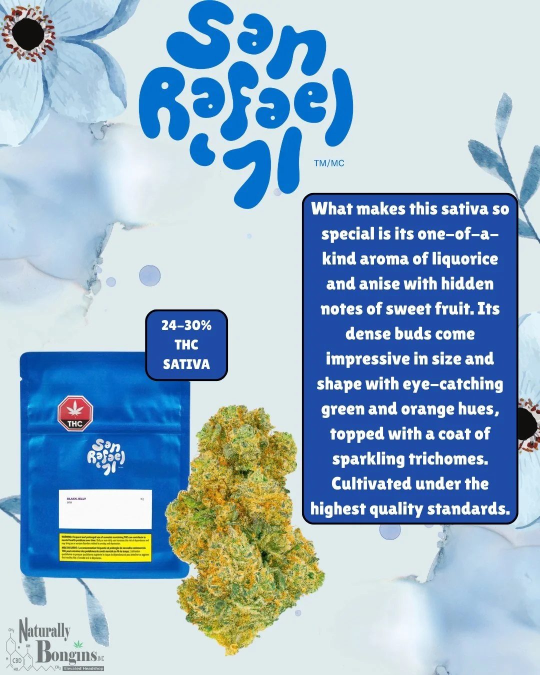 Black Jelly by San Rafael &rsquo;71 is bringing the flavour 🍬🌿
Sweet fruit meets bold licorice and anise in this standout sativa. Big, frosty buds and serious terp vibes to match.

🔥 24&ndash;30% THC
⚡ Sativa energy
MUST BE 19+✨
#naturallybongins 
