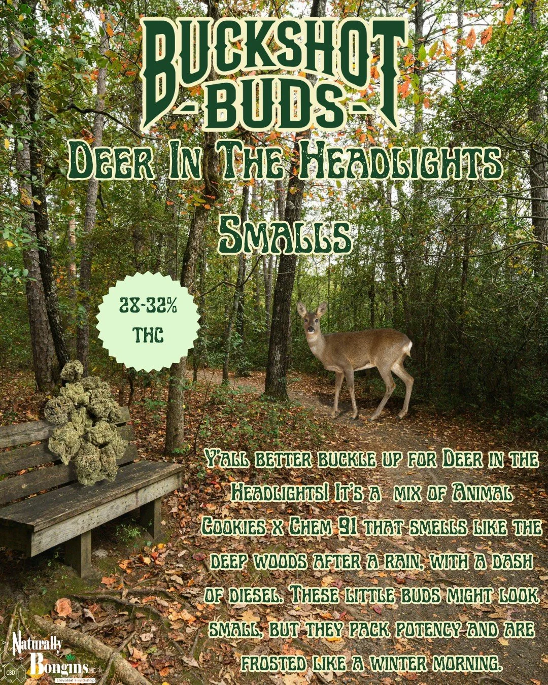 Deep woods energy 🌲🍂
&ldquo;Deer in the Headlights&rdquo; brings that fresh-after-the-rain aroma with a diesel twist. Don&rsquo;t let the size fool you&mdash;these smalls go big. 🔥
MUST BE 19+✨
#naturallybongins #elevatedheadshop #cannabiseducatio
