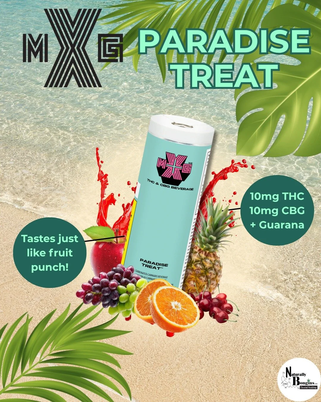Paradise in a can 🌴🍍
Bright, juicy, fruit-punch vibes with a refreshing tropical twist.

Your escape, anytime 🌊✨
MUST BE 19+🔥
#naturallybongins #elevatedheadshop #cannabiseducation