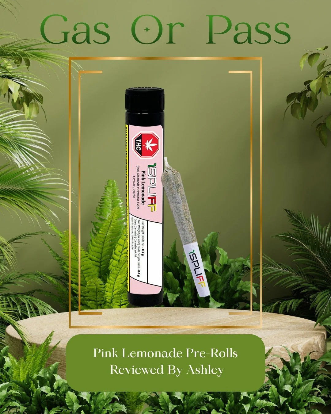 Gas or Pass🌿
Pink Lemonade Pre-Rolls by 1Spliff🎀
No fluff. Just honest reviews!🔥
Check the review on our website!✨
www.naturallybongins.ca
#gasorpass #naturallybongins #elevatedheadshop #cannabiseducation