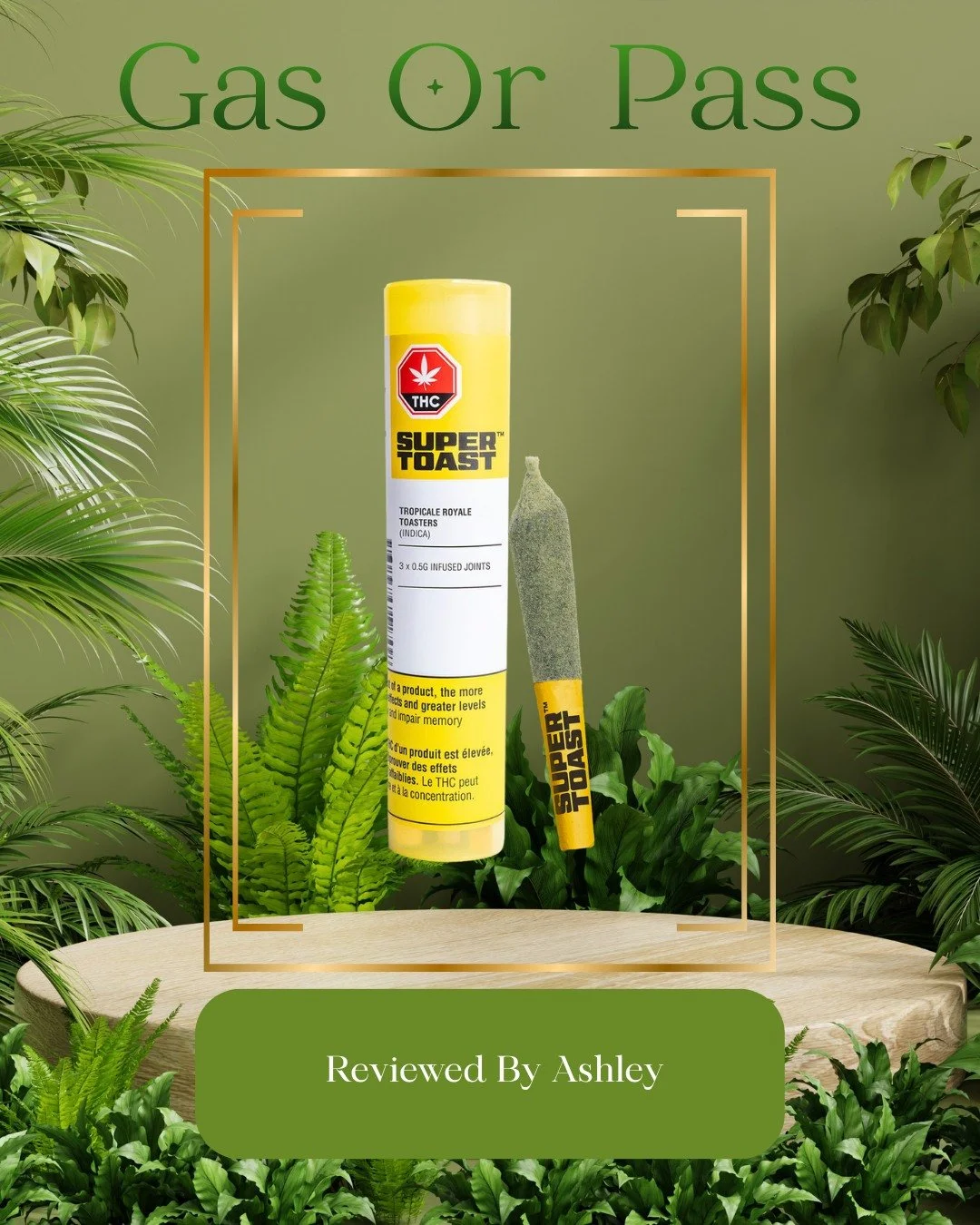 Gas or Pass🌿
Tropicale Royale by Super Toast🌴
No fluff. Just honest reviews.💥
Check the review on our website!✨
www.naturallybongins.ca
#gasorpass #elevatedheadshop #naturallybongins #cannabiseducation