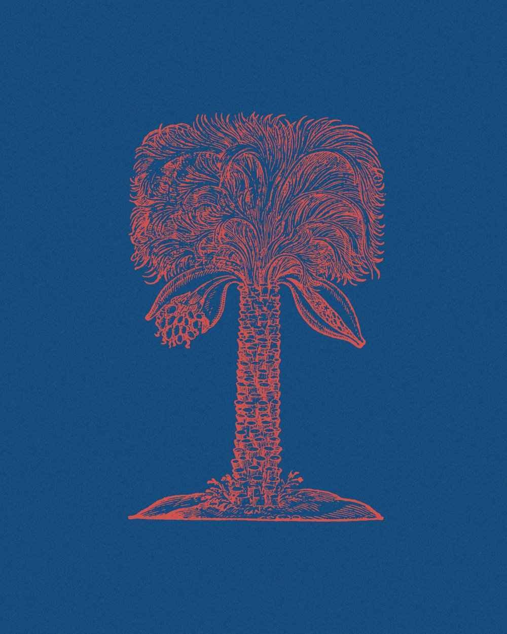 Palm_SP_.jpeg