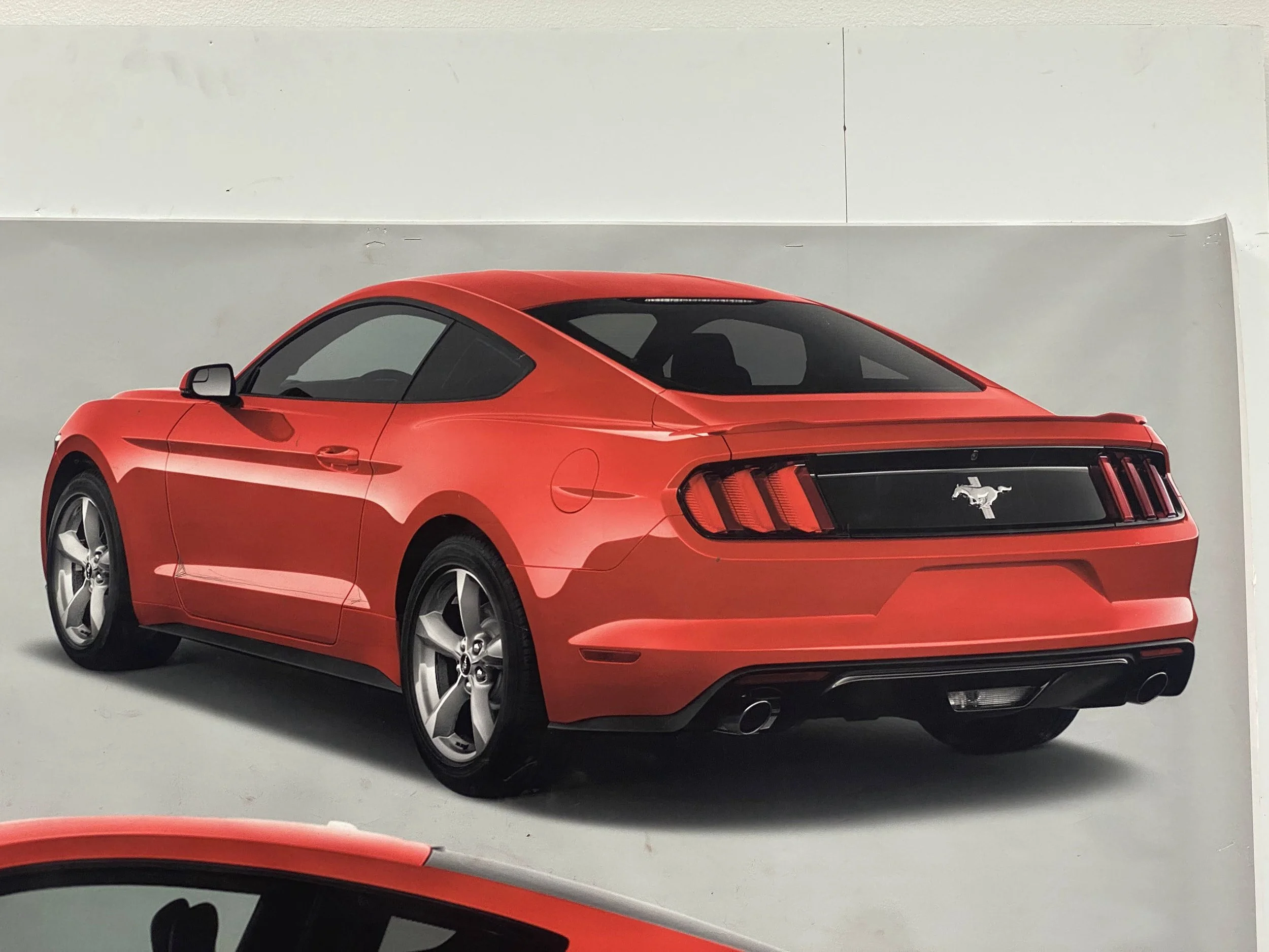 IMG_8409 - Copy.jpeg