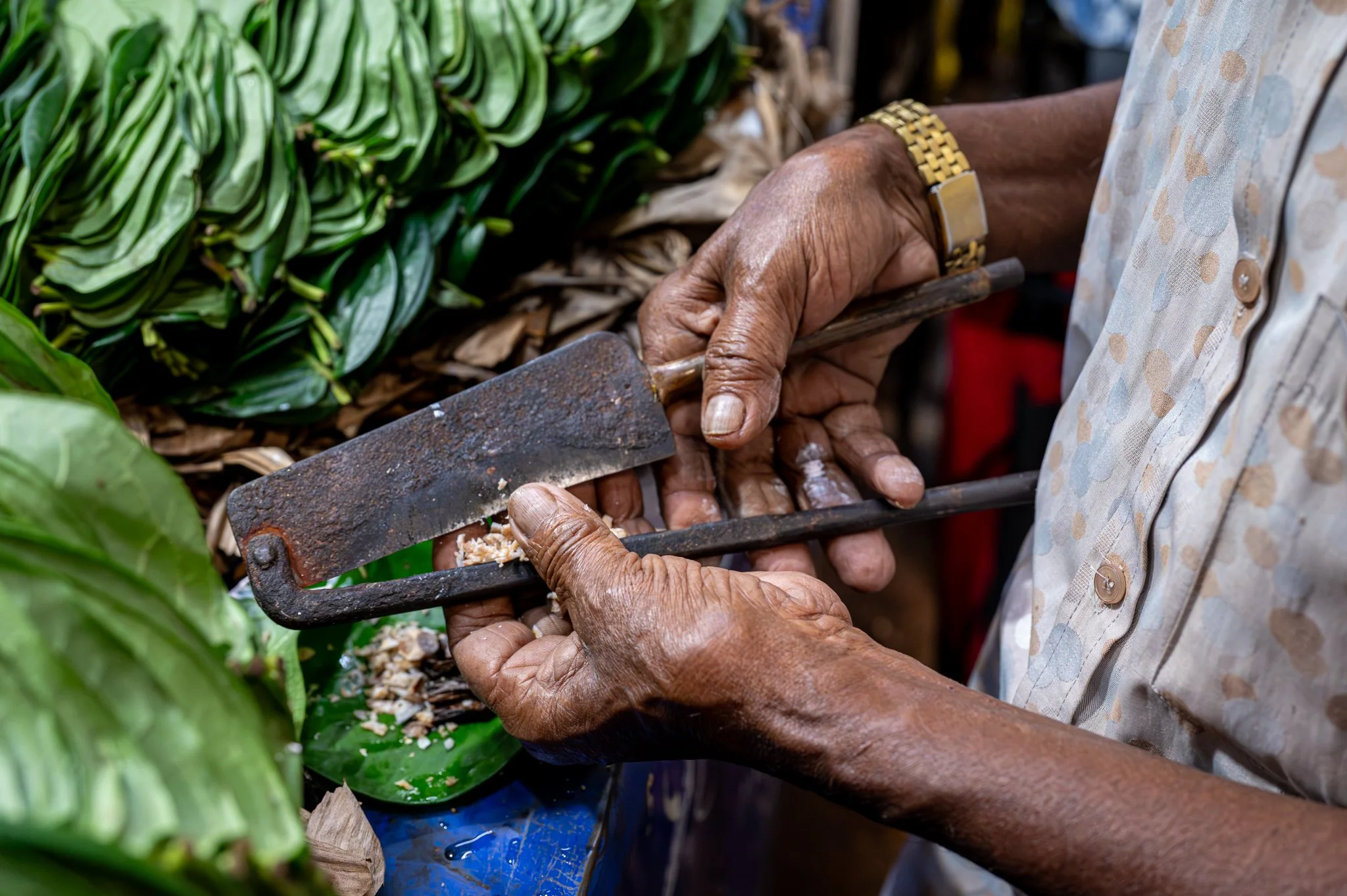 Sri Lanka_Kandy and Hill Country_copyright Buddha34-103.jpg