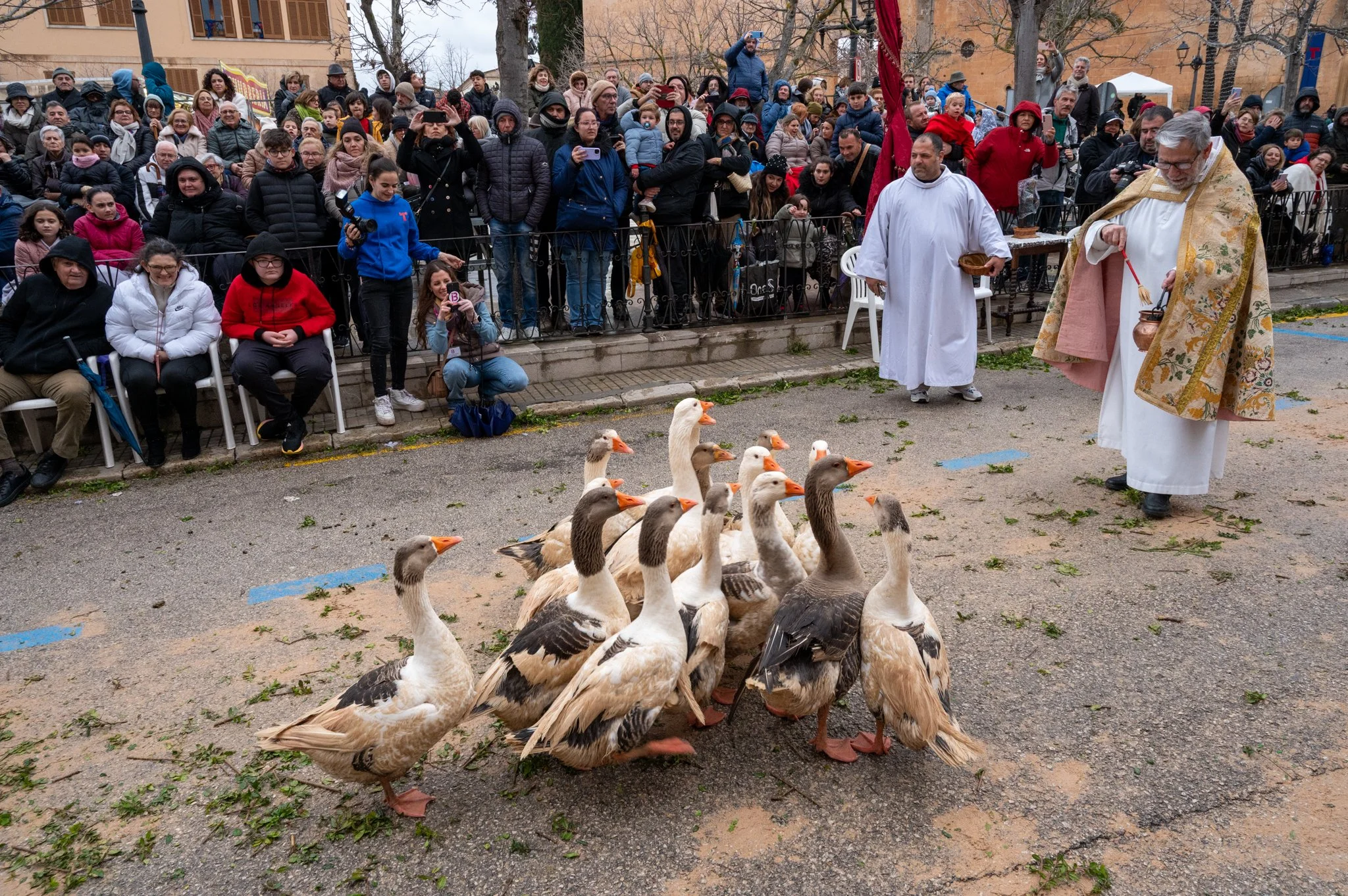 Mallorca - Sant Antoni Animal Blessing & Devils-43.jpg