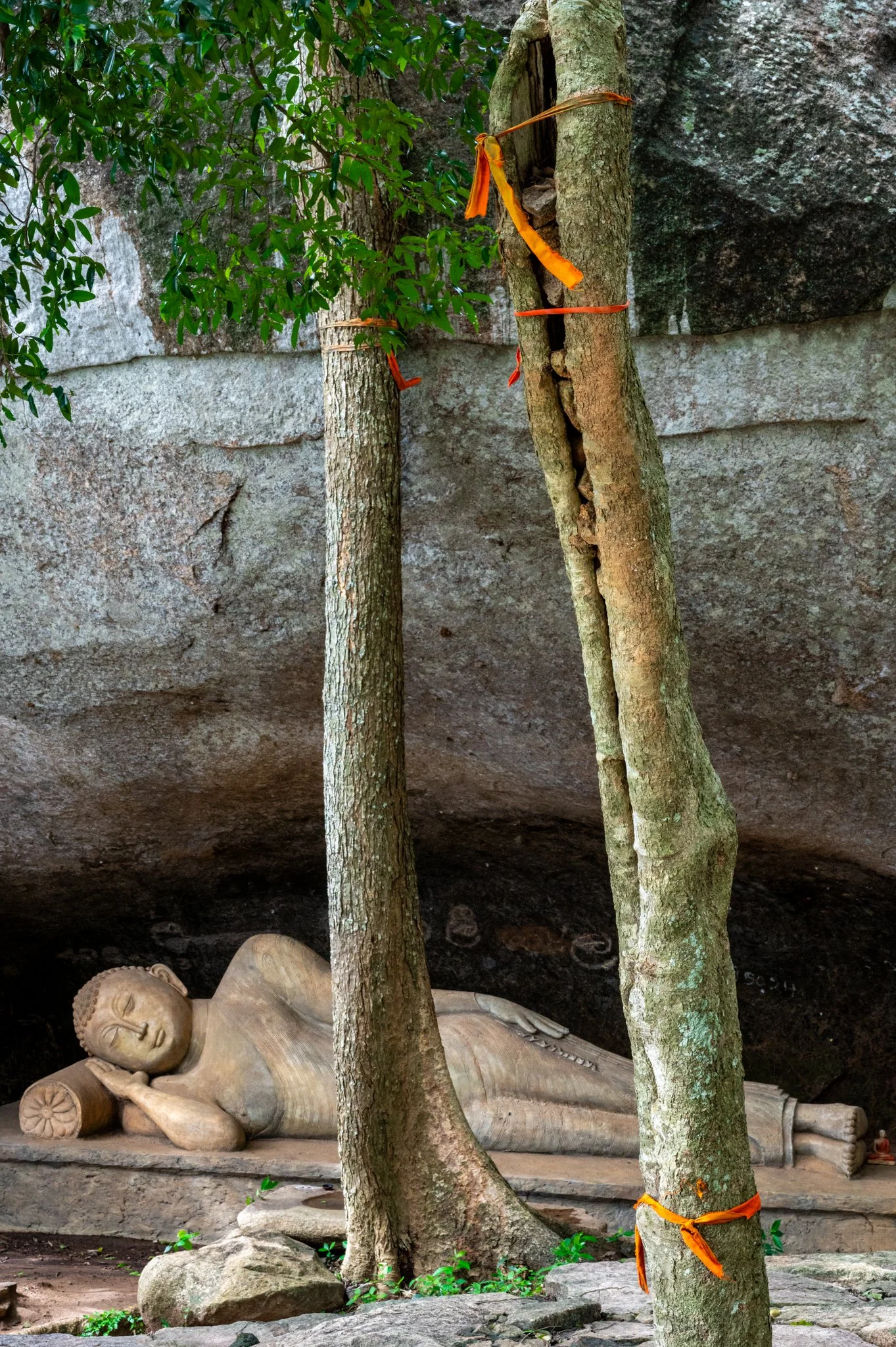 Sri Lanka_The South_copyright Buddha34-235.jpg