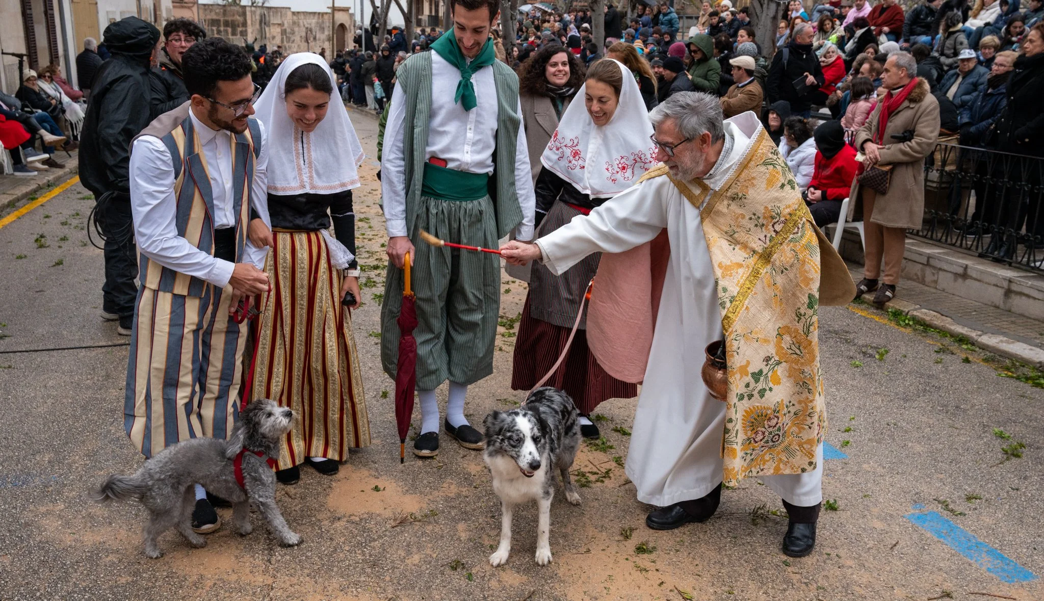 Mallorca - Sant Antoni Animal Blessing & Devils-35.jpg