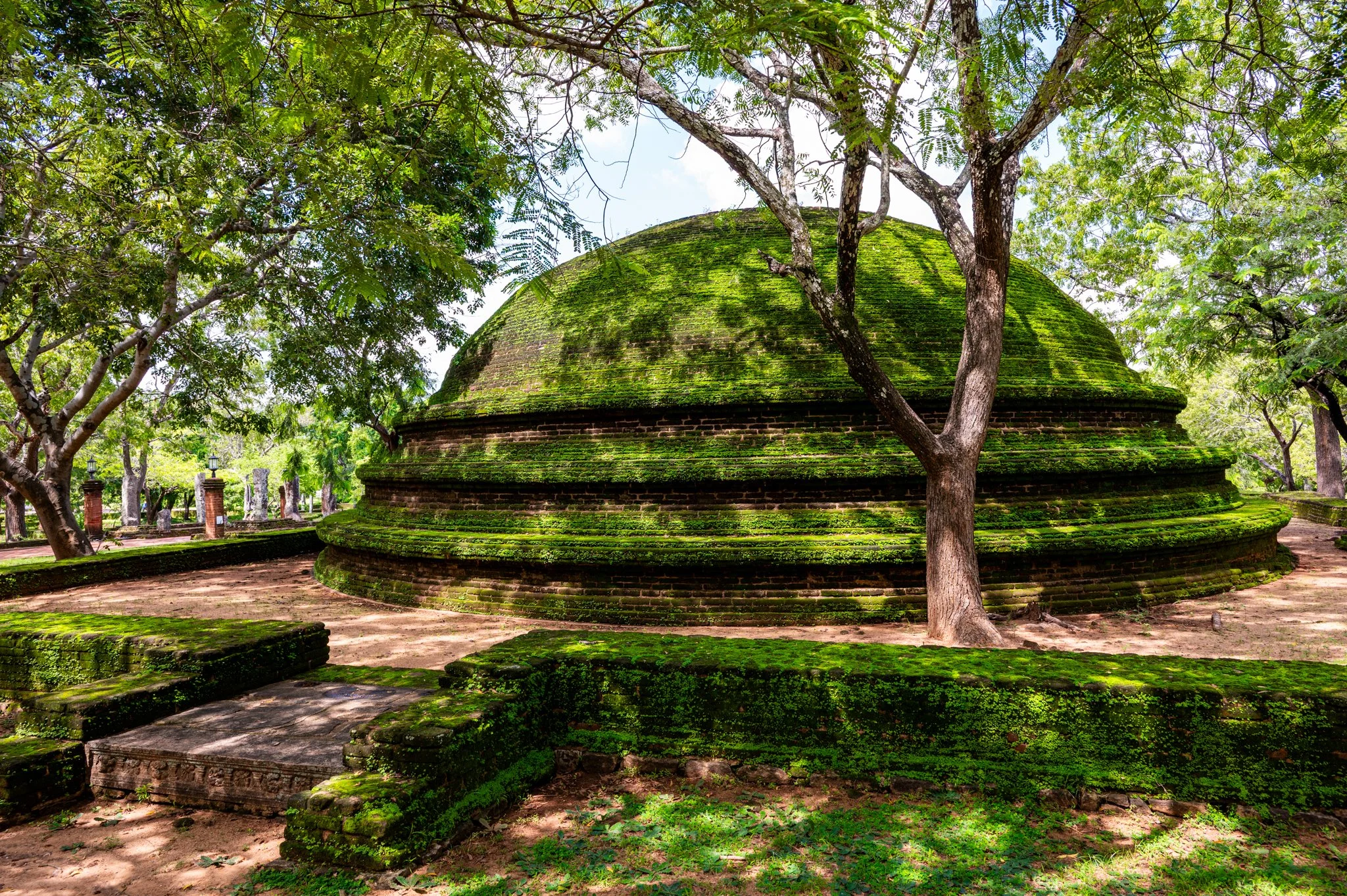 Sri Lanka_Cultural Triangle_copyright Buddha34-80.jpg