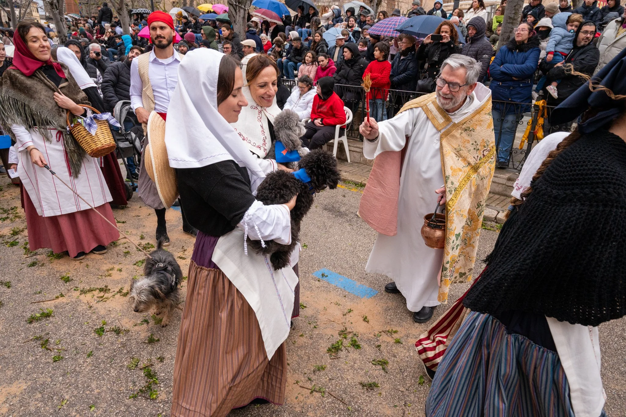 Mallorca - Sant Antoni Animal Blessing & Devils-29.jpg