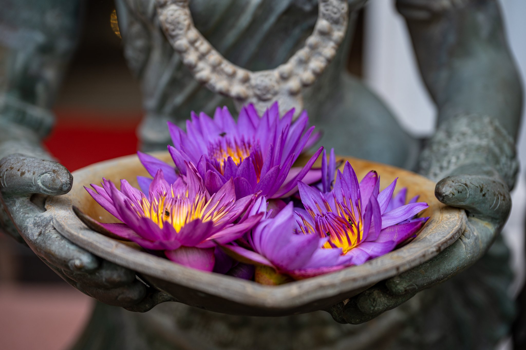 Sri Lanka_Colombo Area_copyright Buddha34-09.jpg