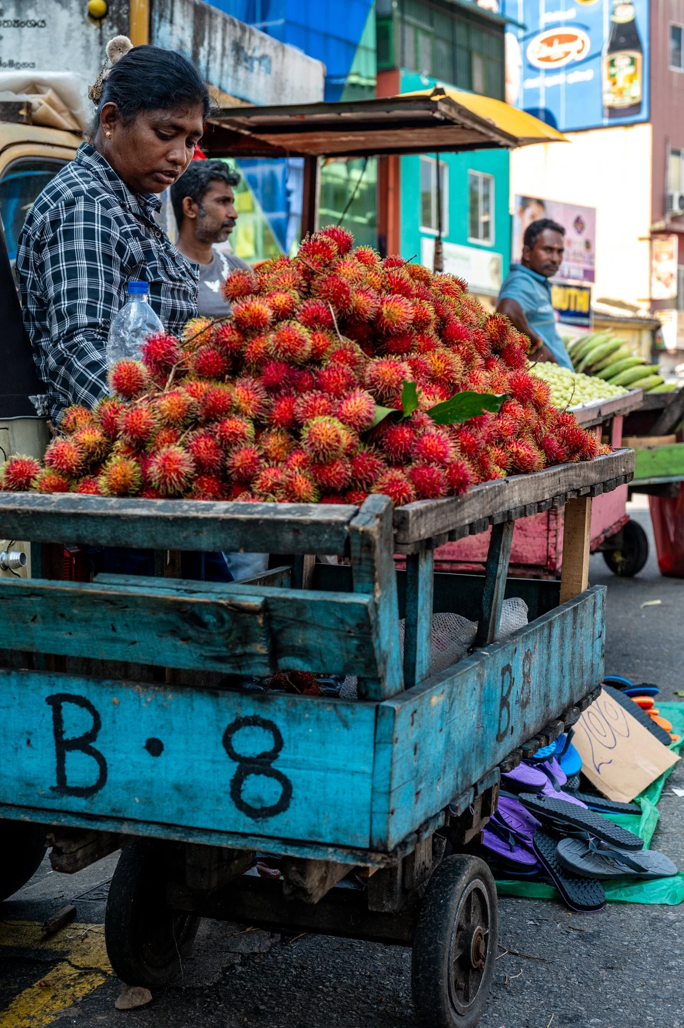 Sri Lanka_Colombo Area_copyright Buddha34-27.jpg