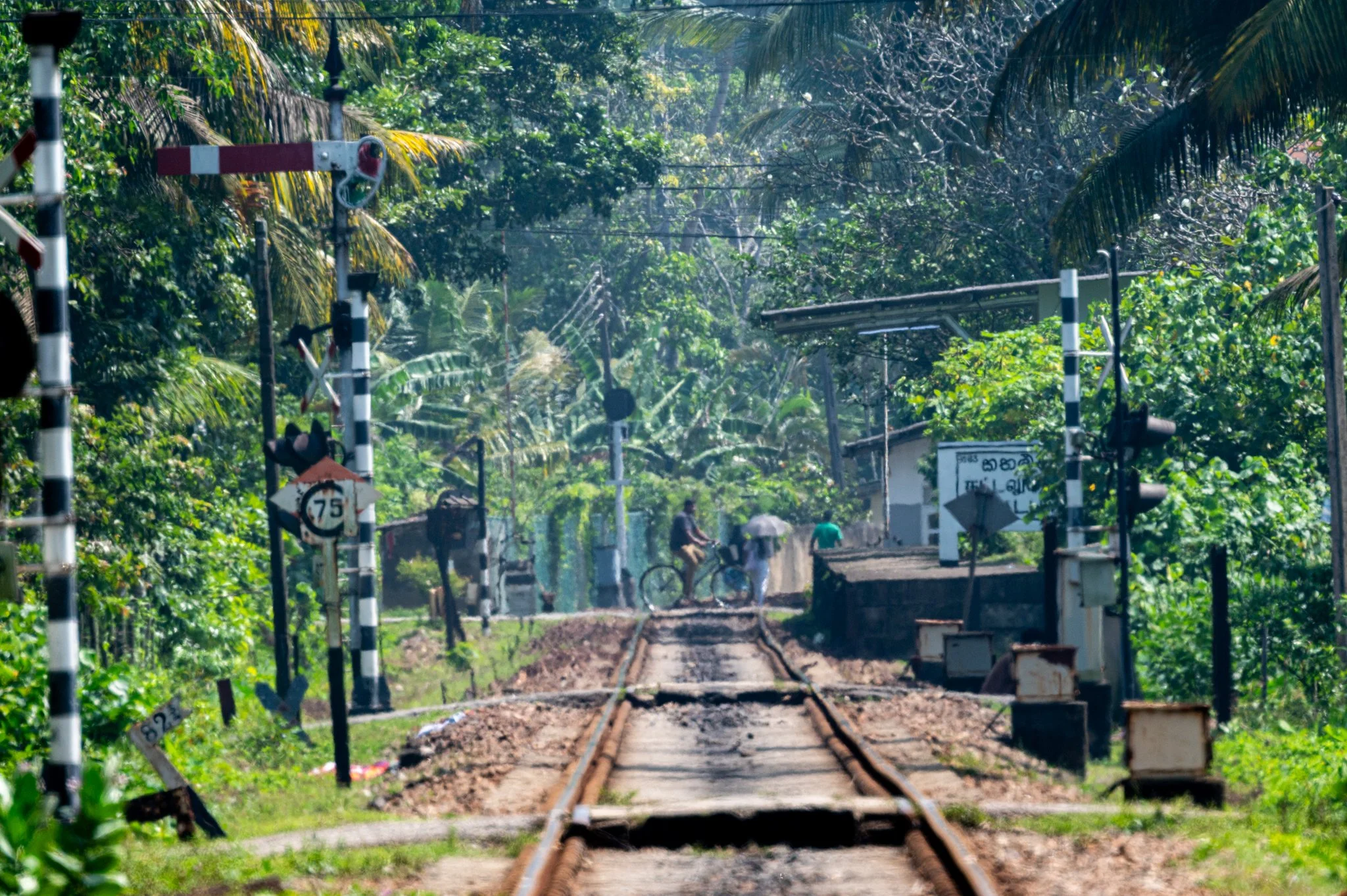 Sri Lanka_The South_copyright Buddha34-271.jpg