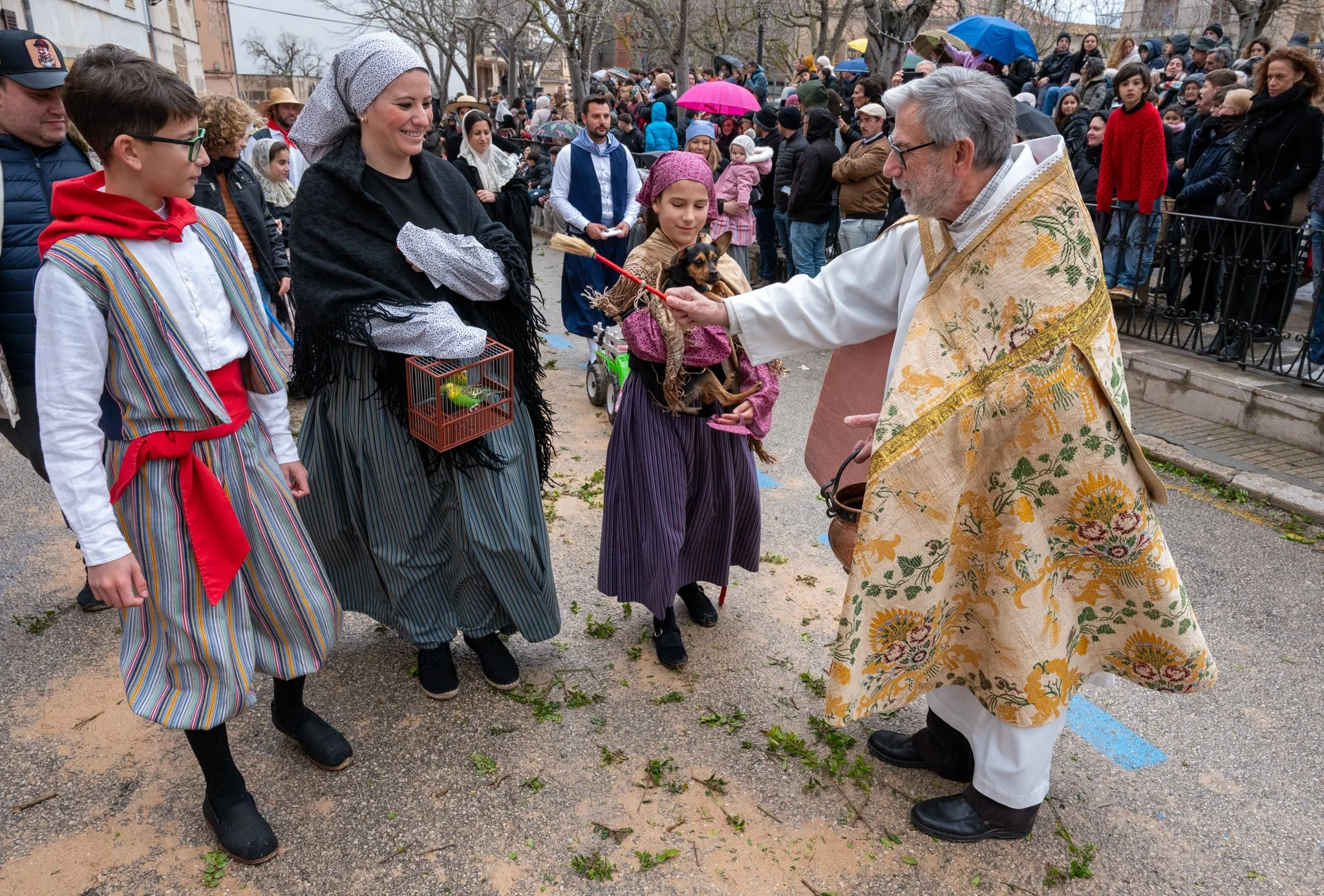 Mallorca - Sant Antoni Animal Blessing & Devils-30.jpg