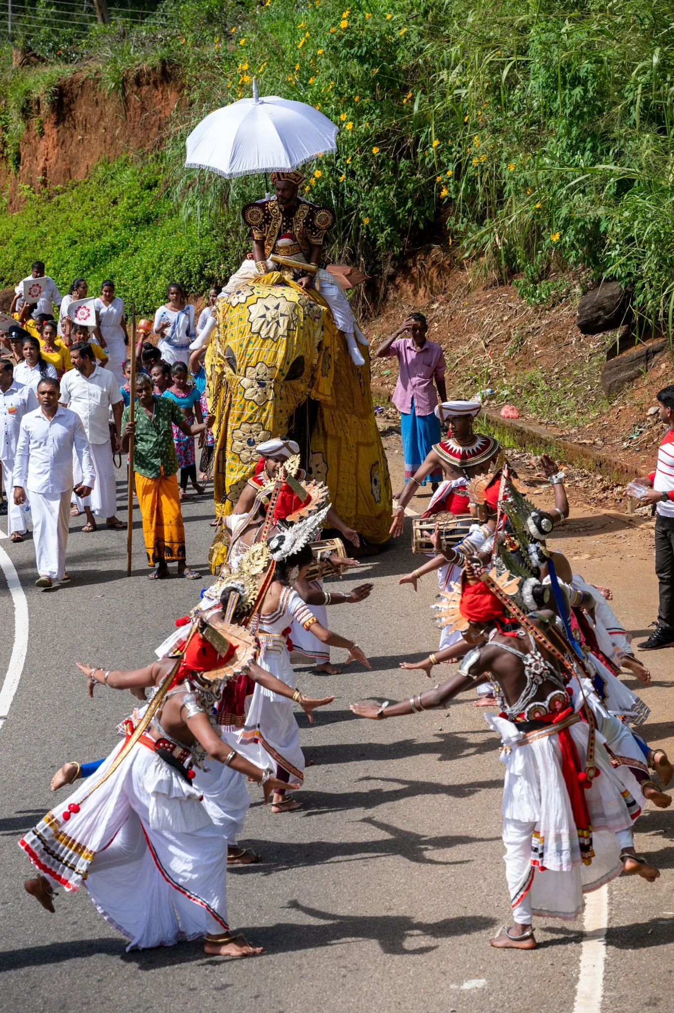 Sri Lanka_Kandy and Hill Country_copyright Buddha34-142.jpg