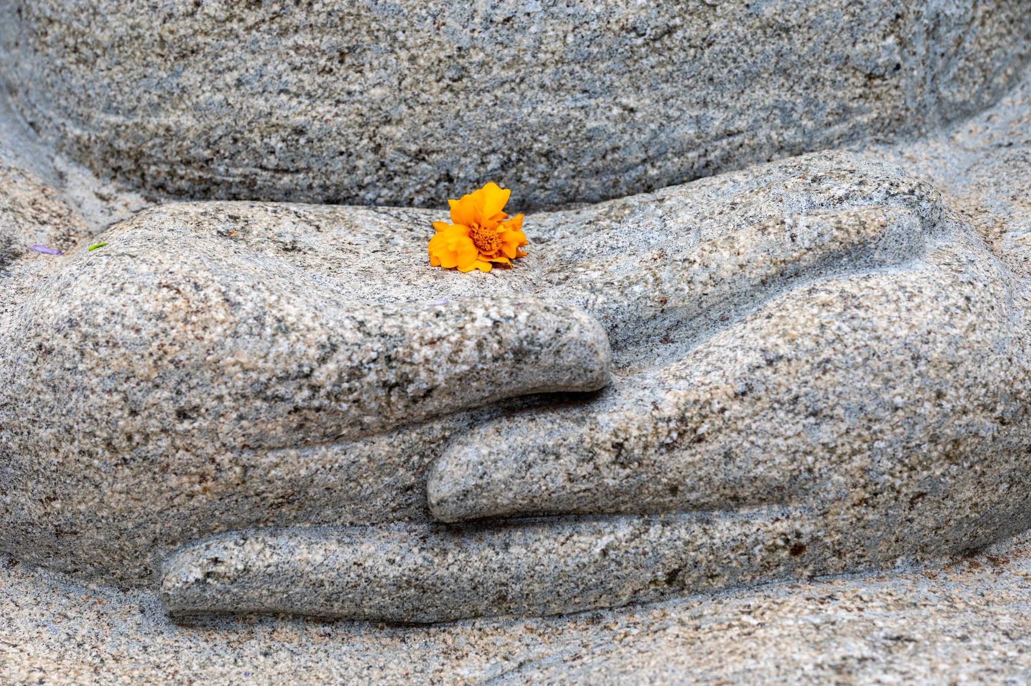 Sri Lanka_Cultural Triangle_copyright Buddha34-47.jpg