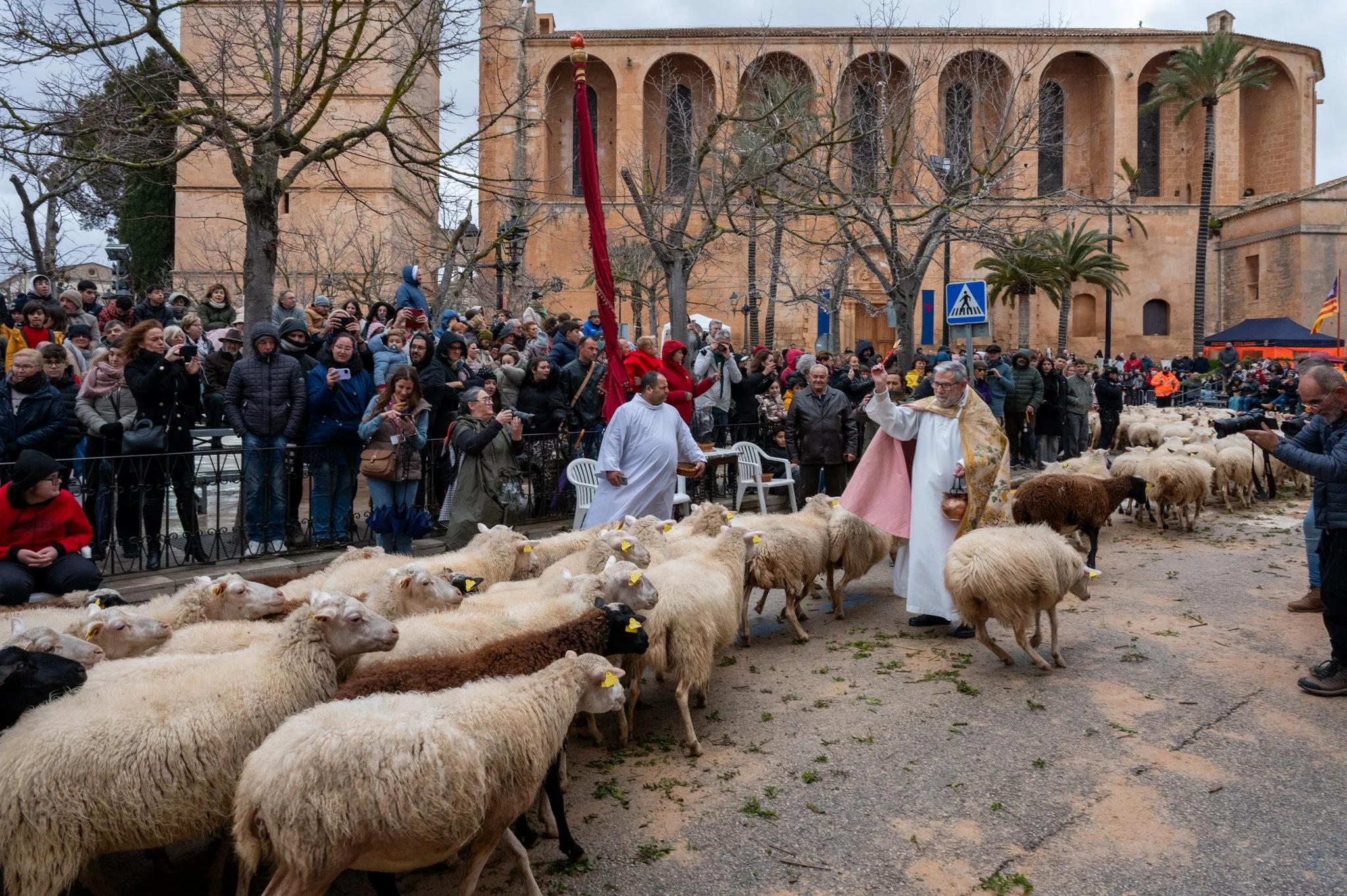 Mallorca - Sant Antoni Animal Blessing & Devils-37.jpg