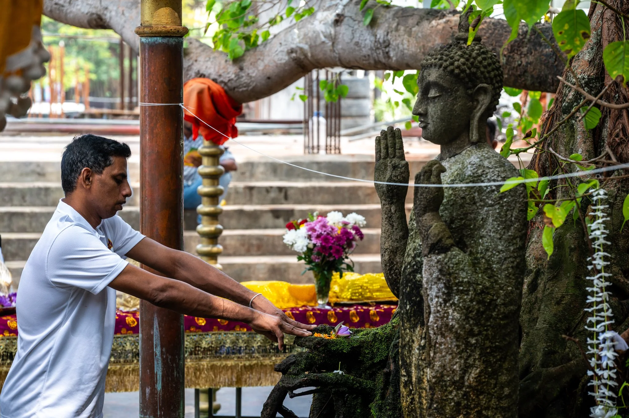 Sri Lanka_Colombo Area_copyright Buddha34-05.jpg