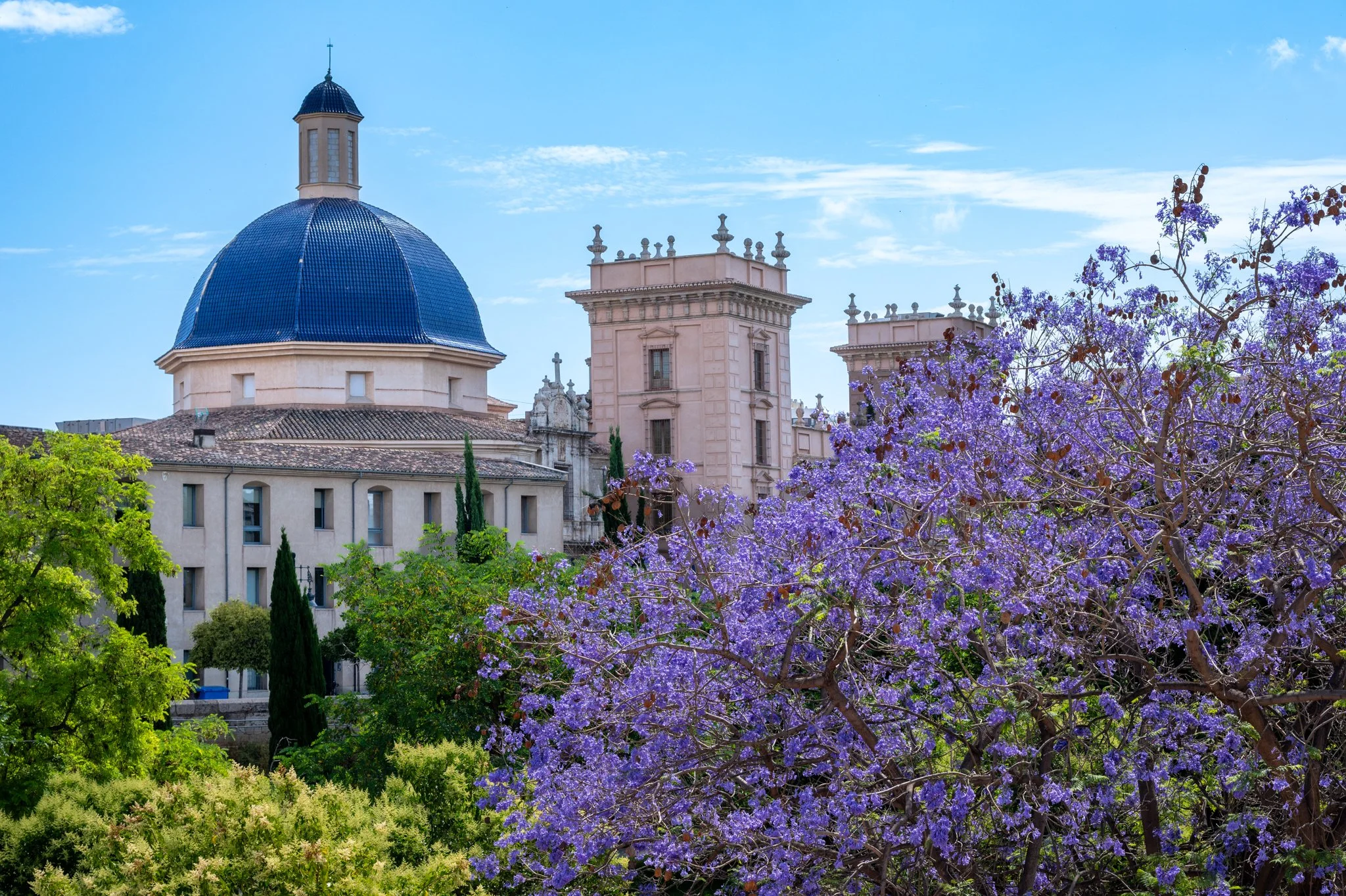 Valencia_Old Town 2026_copyright buddha34-20.jpg