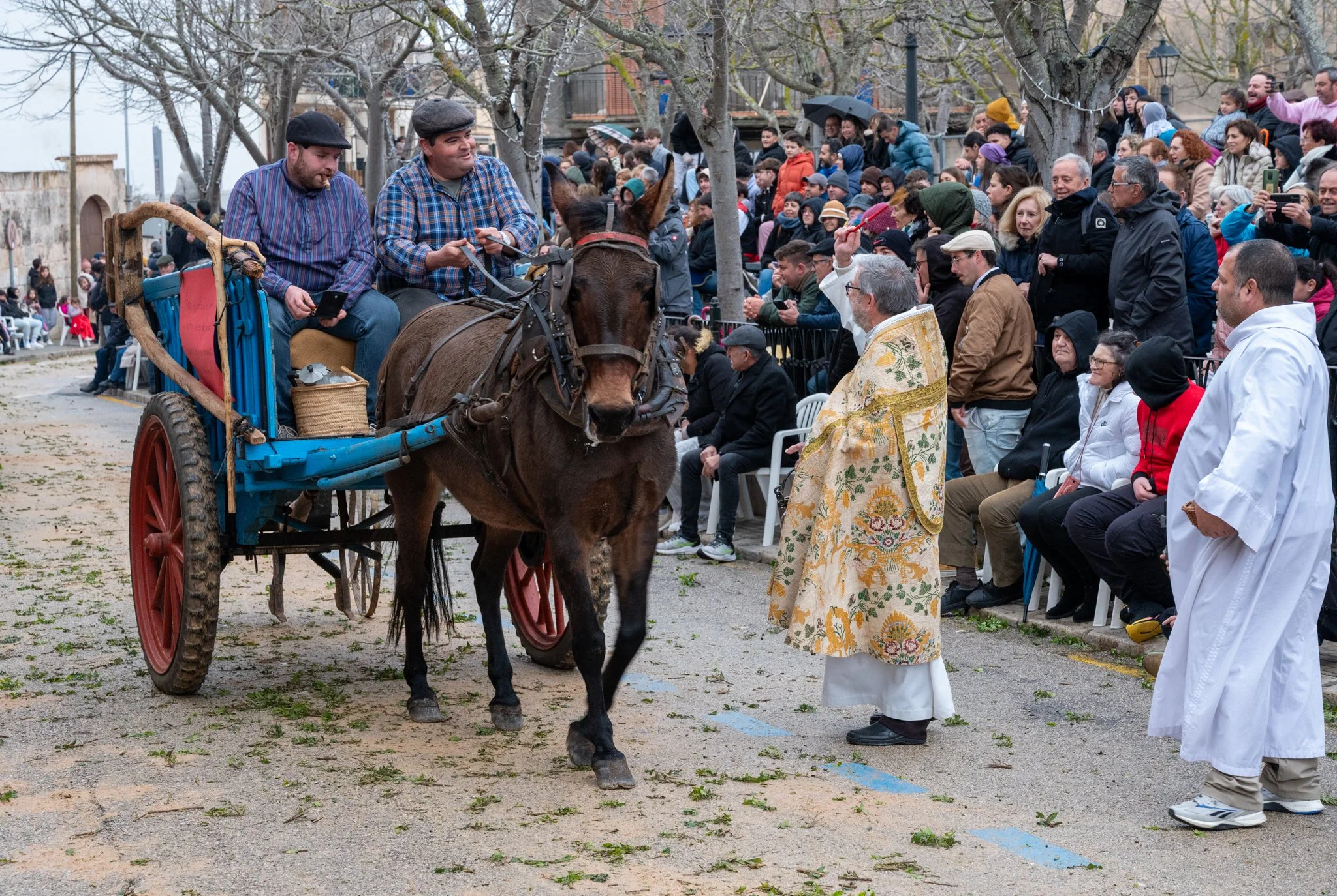 Mallorca - Sant Antoni Animal Blessing & Devils-52.jpg