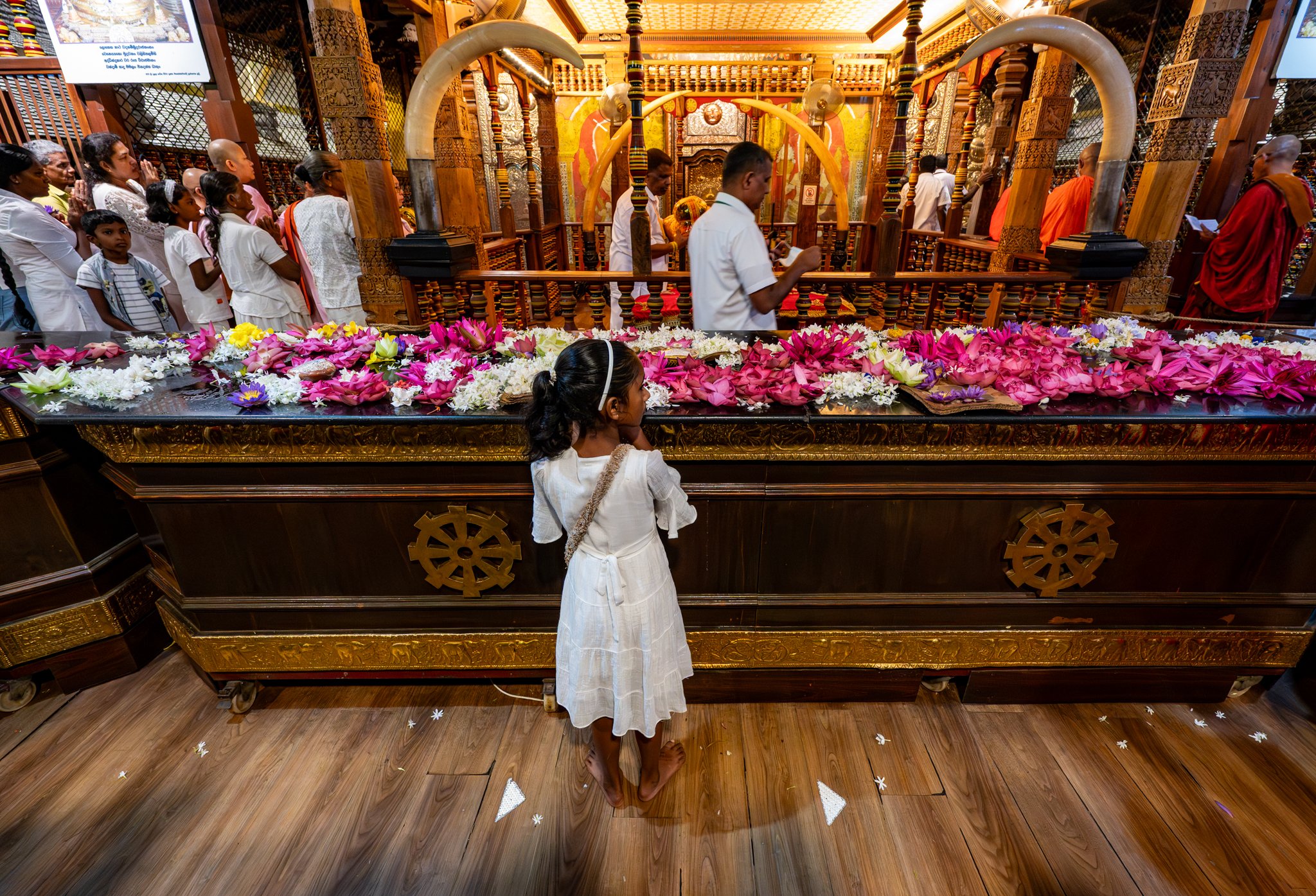 Sri Lanka_Kandy and Hill Country_copyright Buddha34-119.jpg
