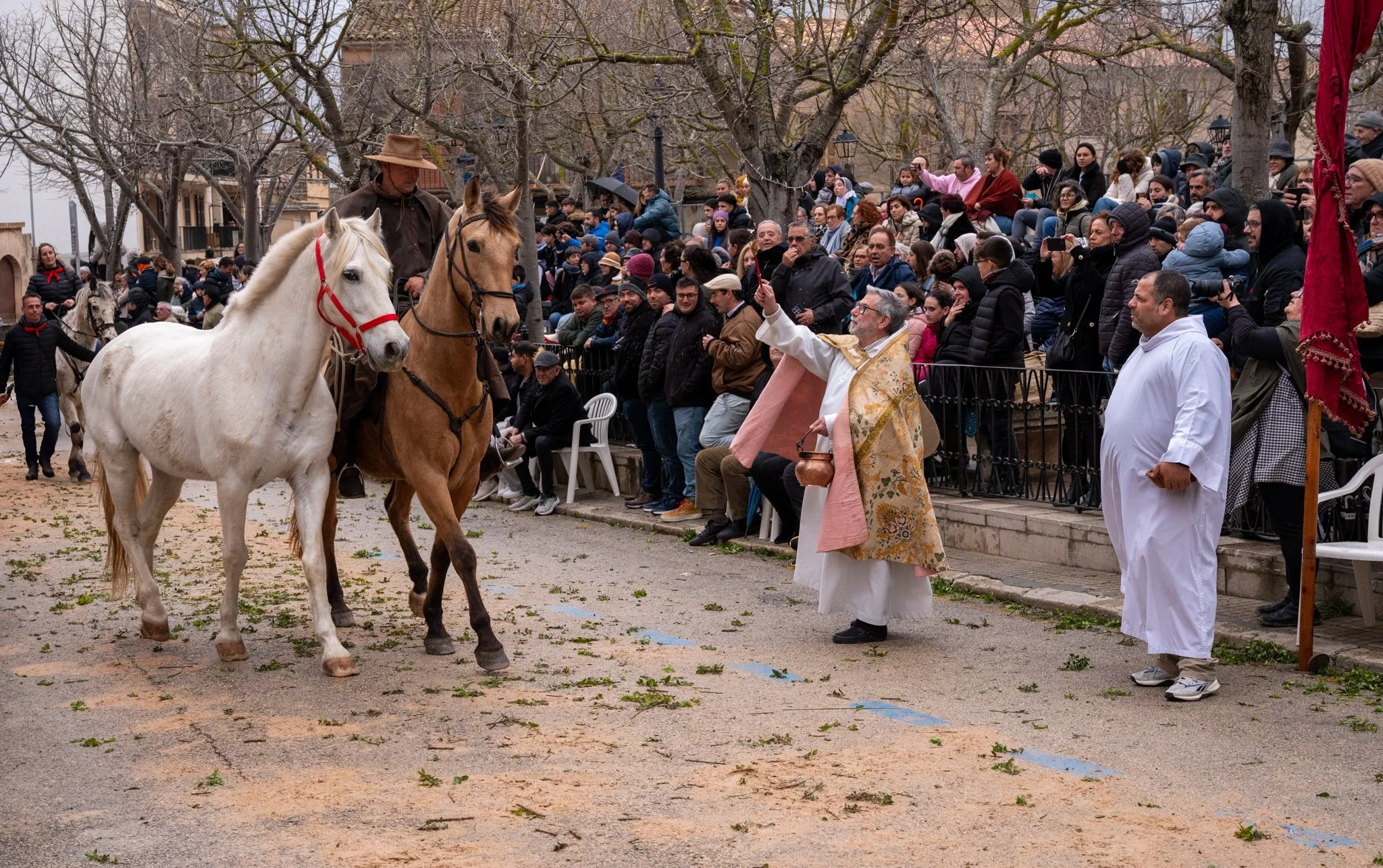 Mallorca - Sant Antoni Animal Blessing & Devils-49.jpg