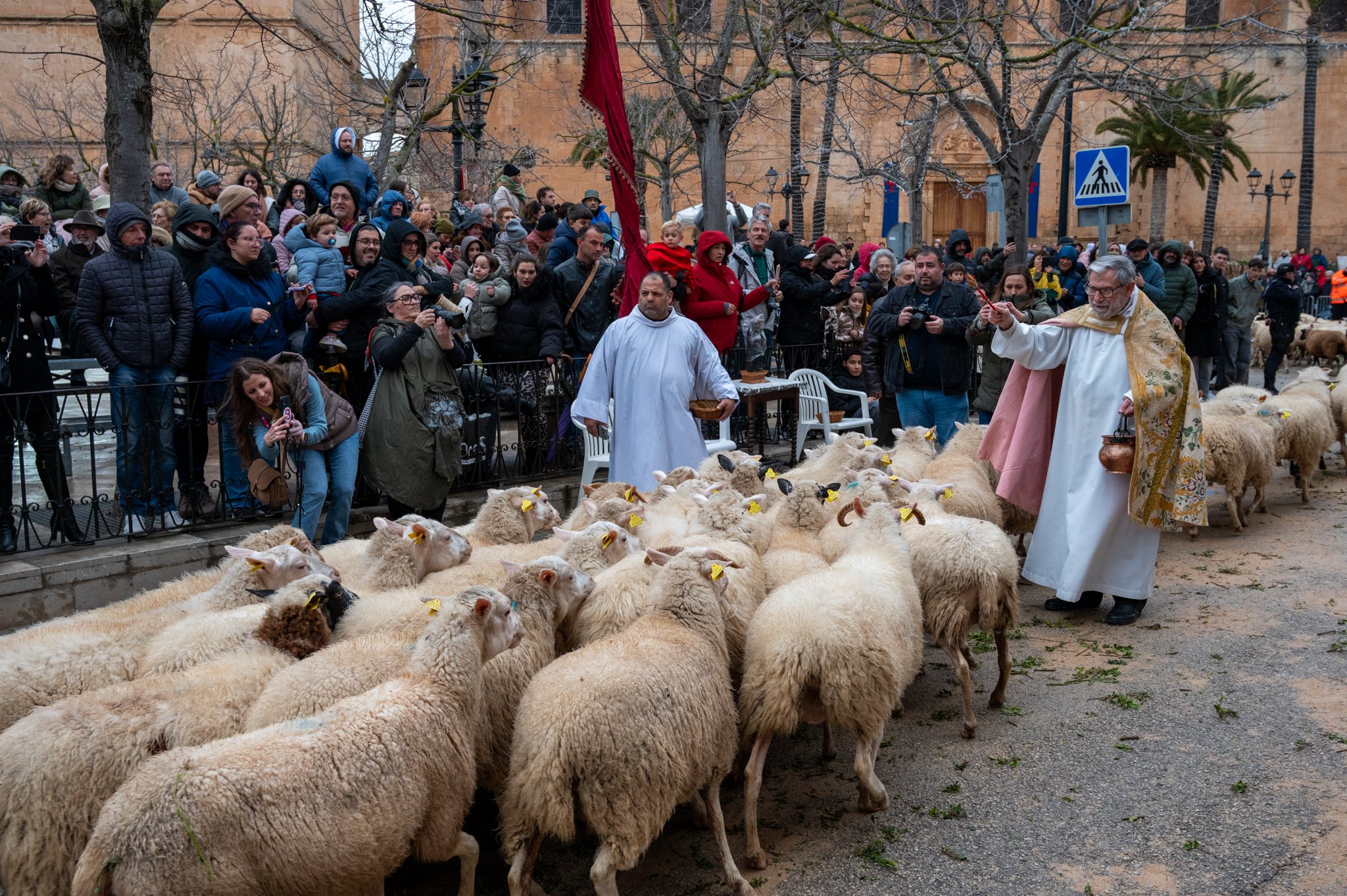 Mallorca - Sant Antoni Animal Blessing & Devils-41.jpg