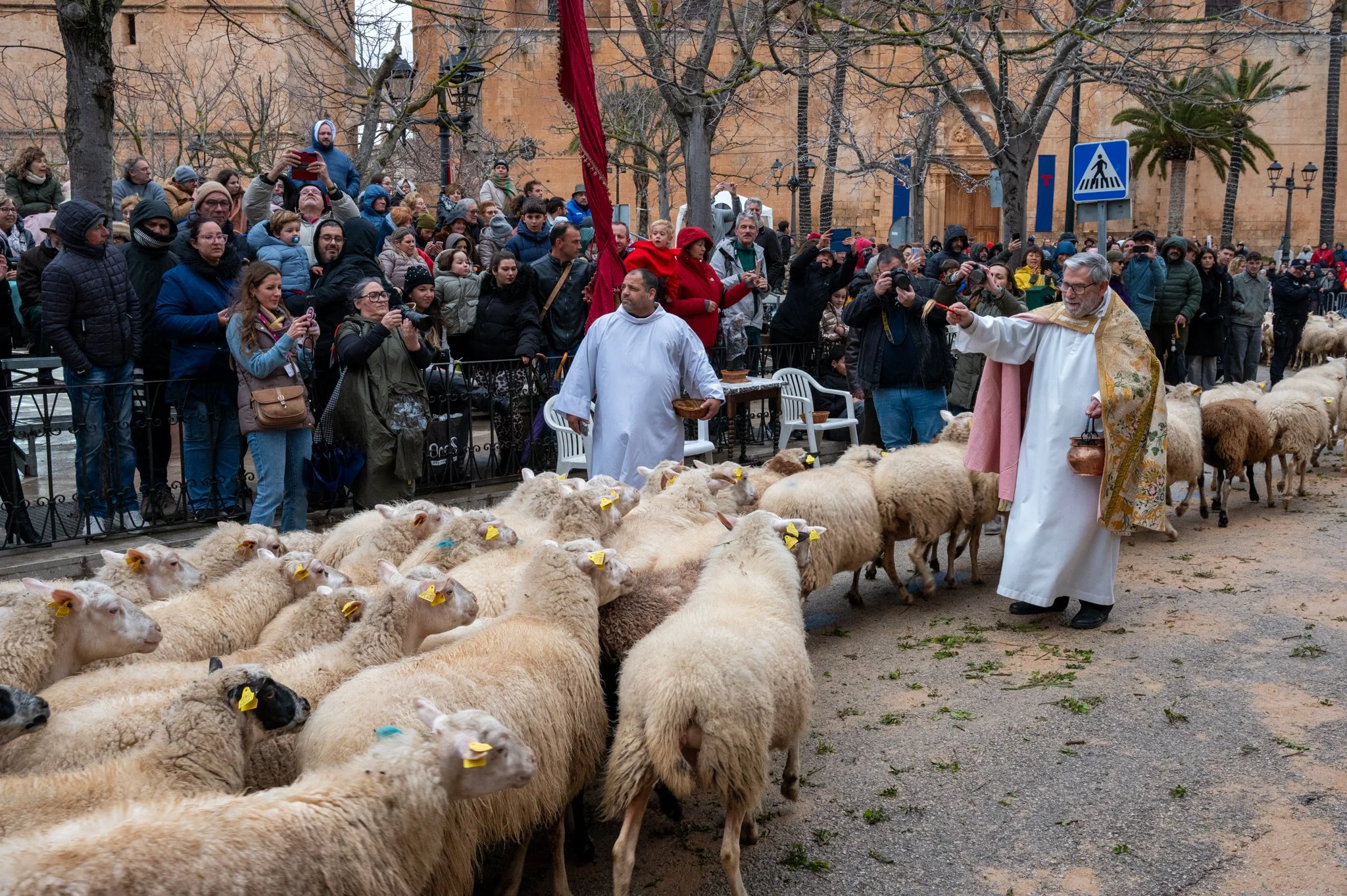 Mallorca - Sant Antoni Animal Blessing & Devils-40.jpg