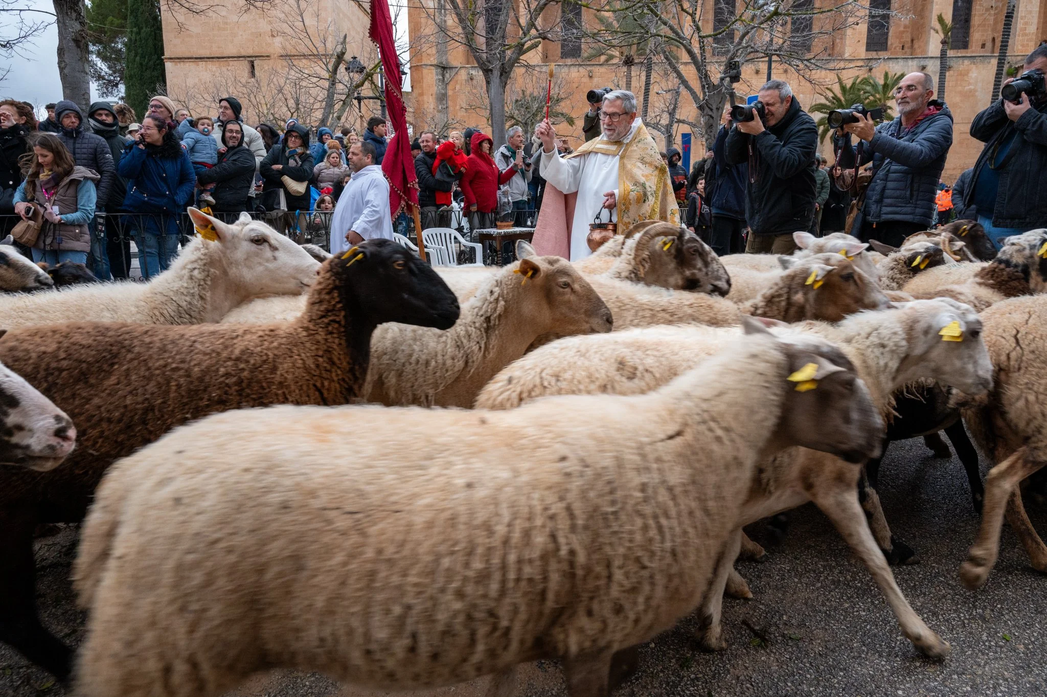 Mallorca - Sant Antoni Animal Blessing & Devils-46.jpg